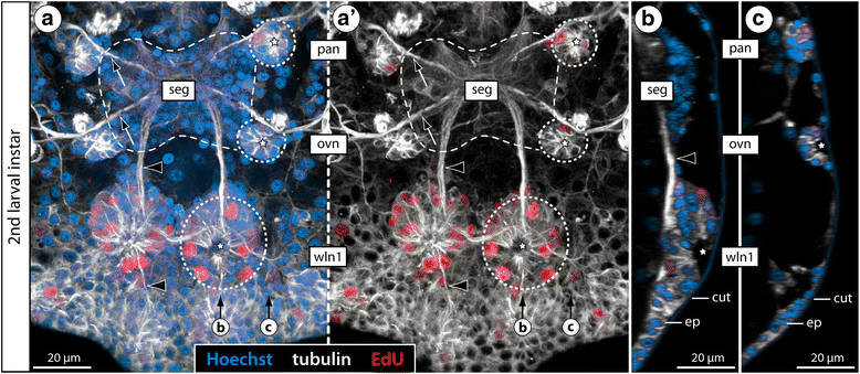 Fig. 15