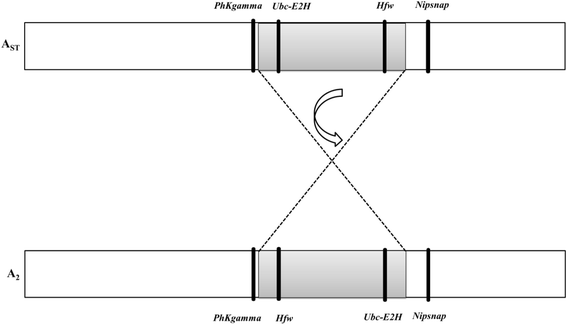 Fig. 2