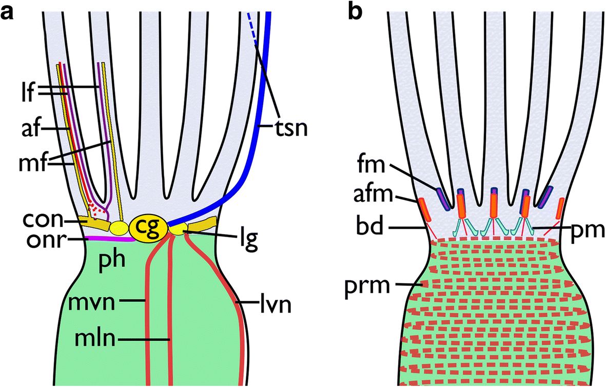 Fig. 13