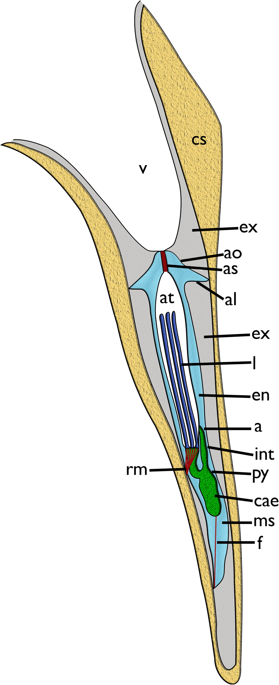 Fig. 4