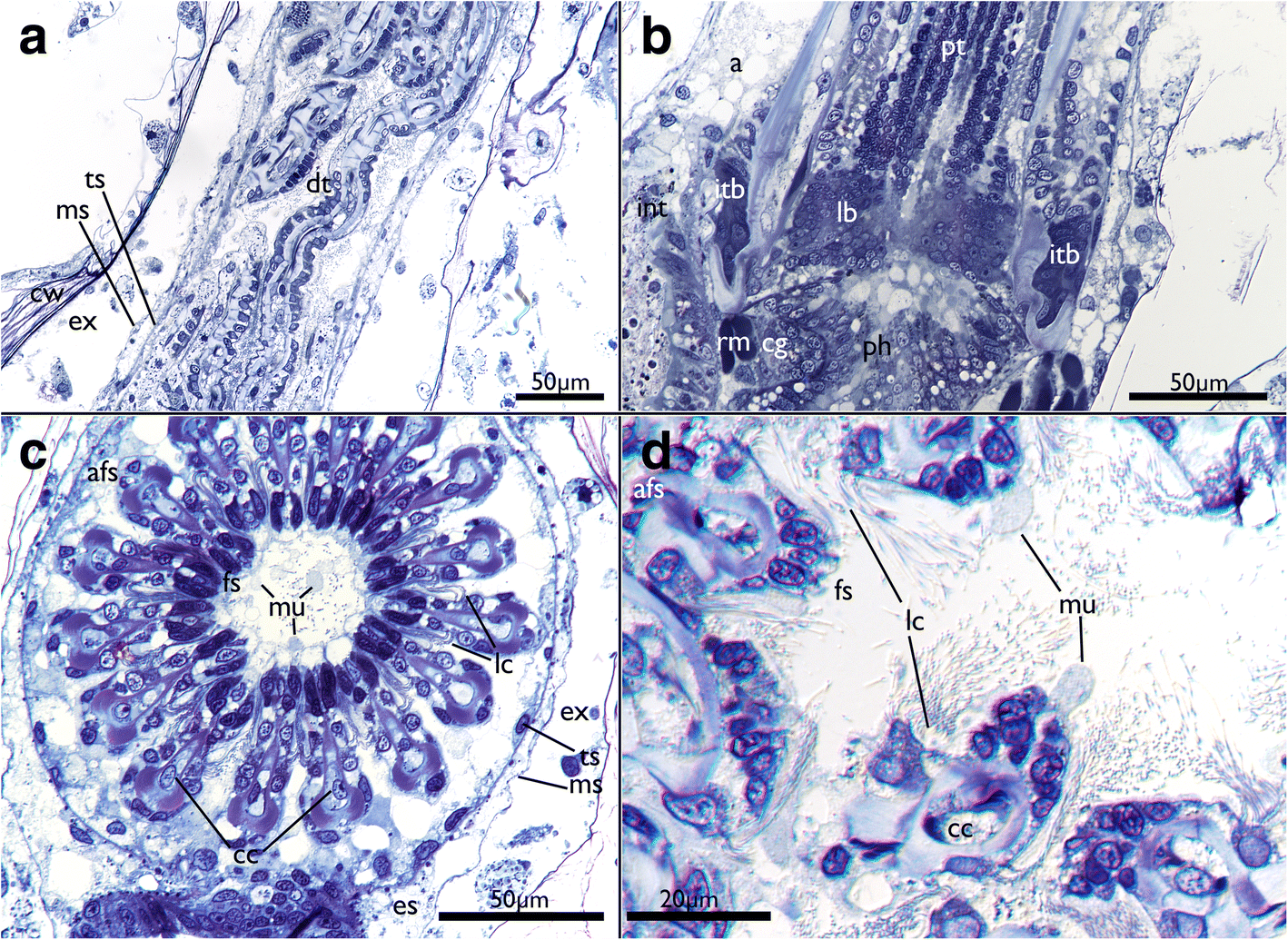 Fig. 7