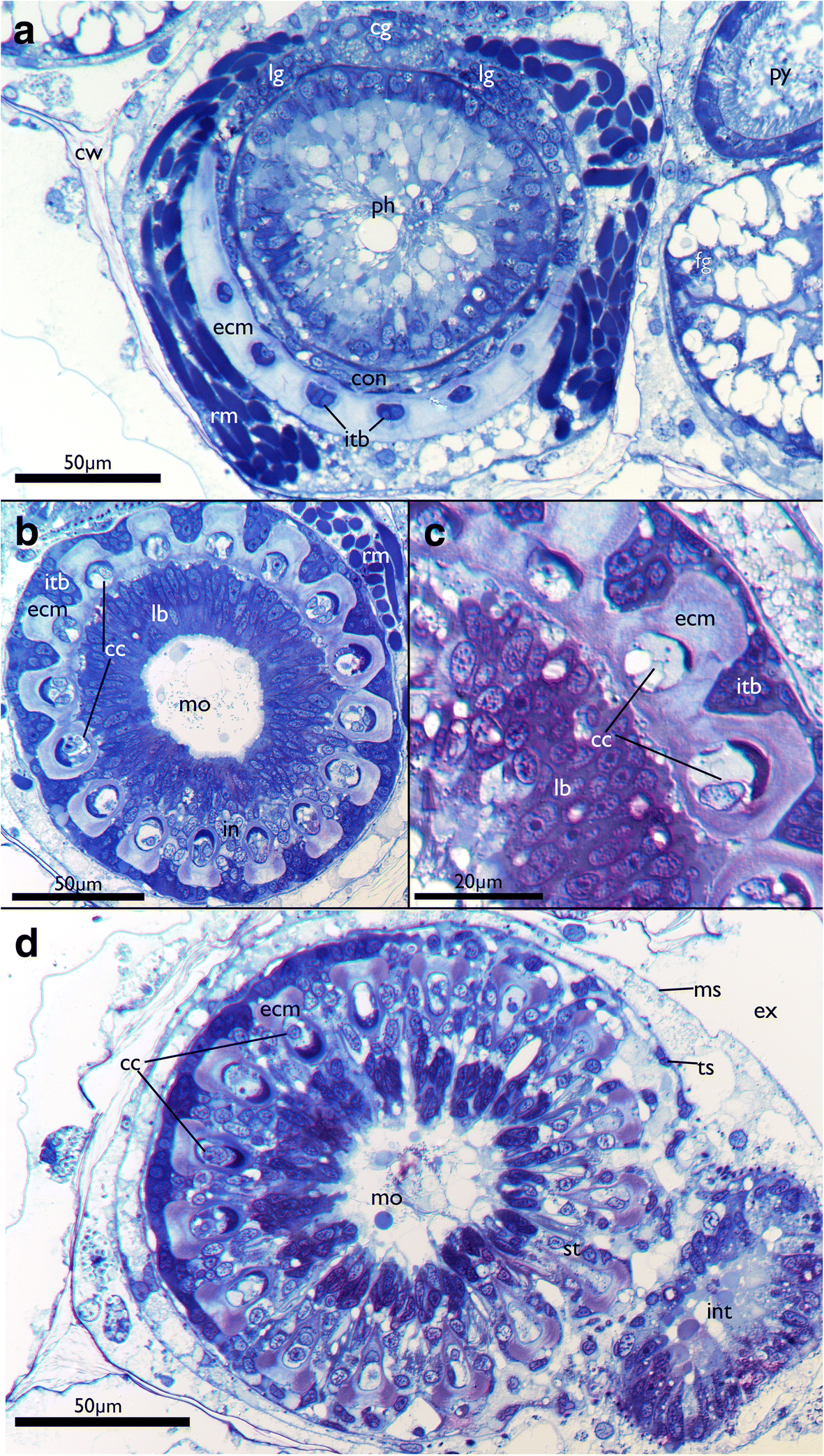 Fig. 8