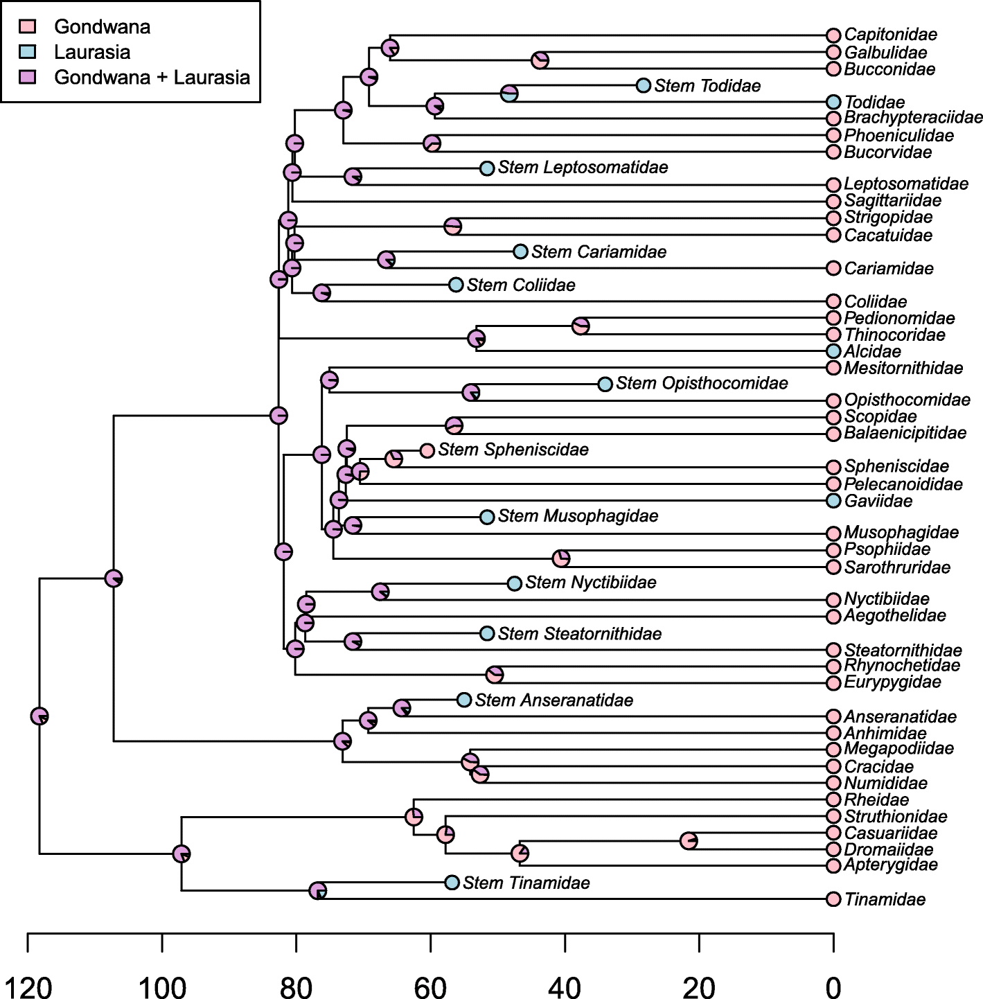 Fig. 6