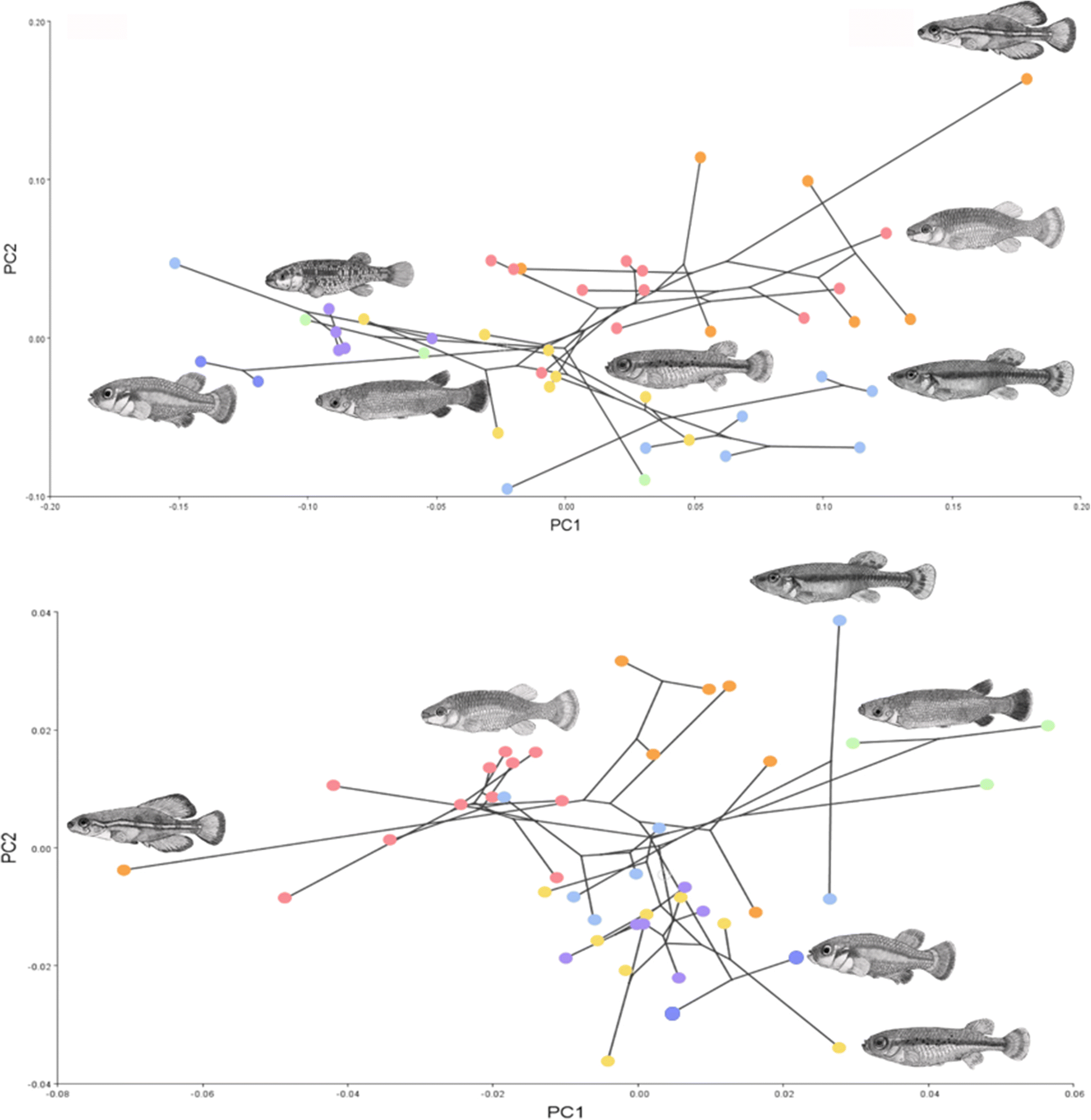 Fig. 3