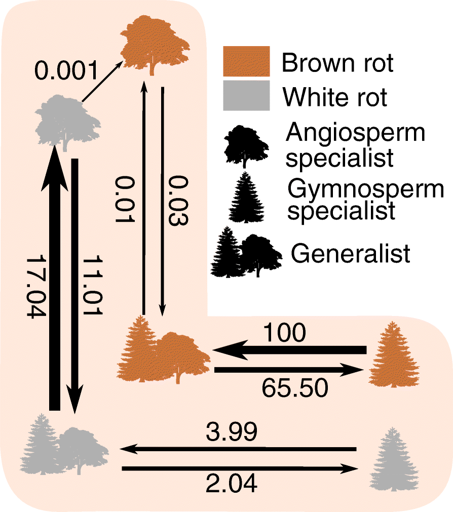 Fig. 5