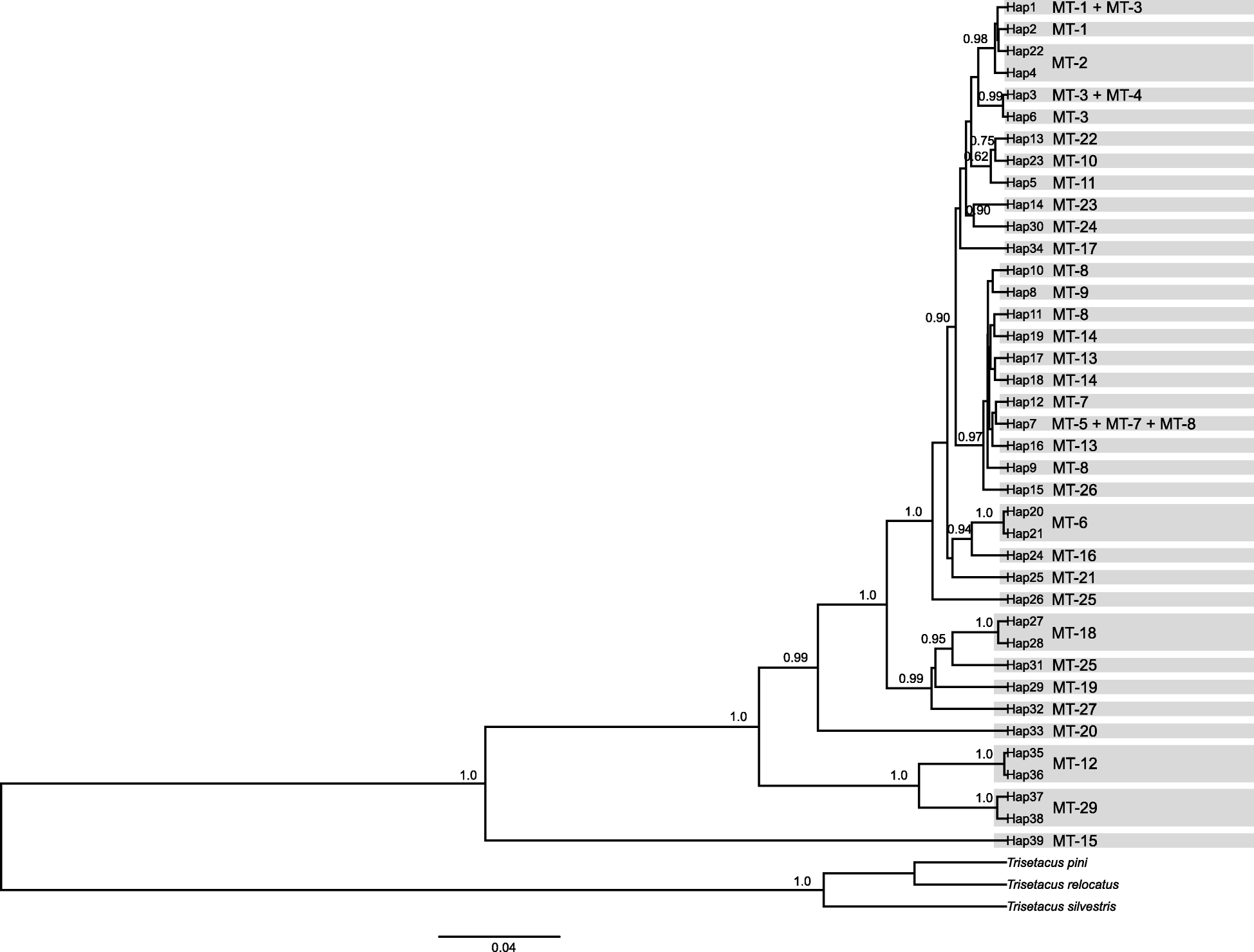 Fig. 2