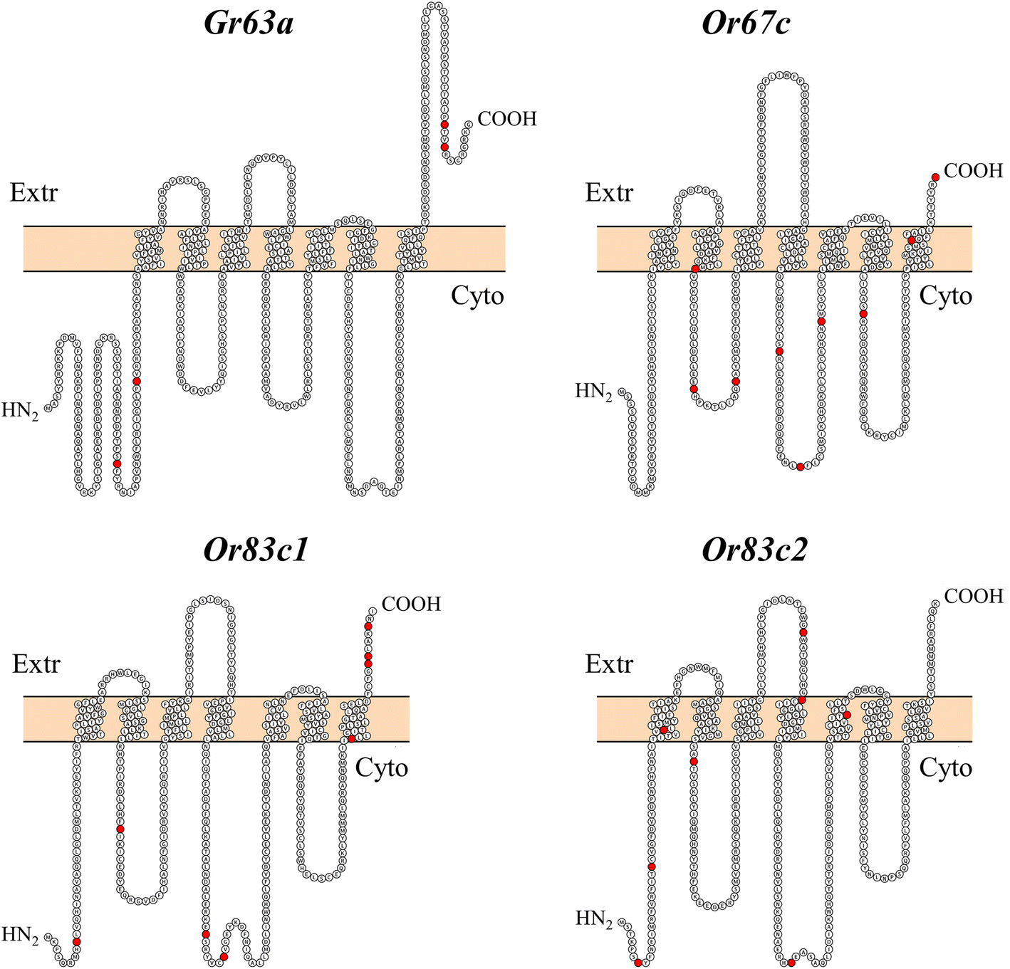 Fig. 2