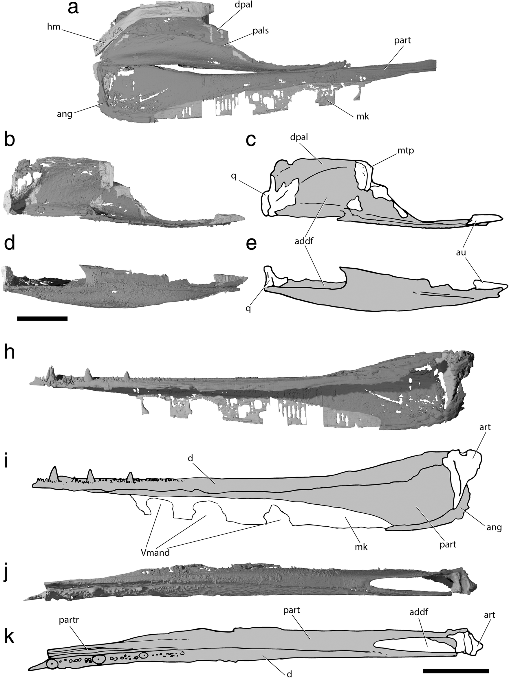 Fig. 10