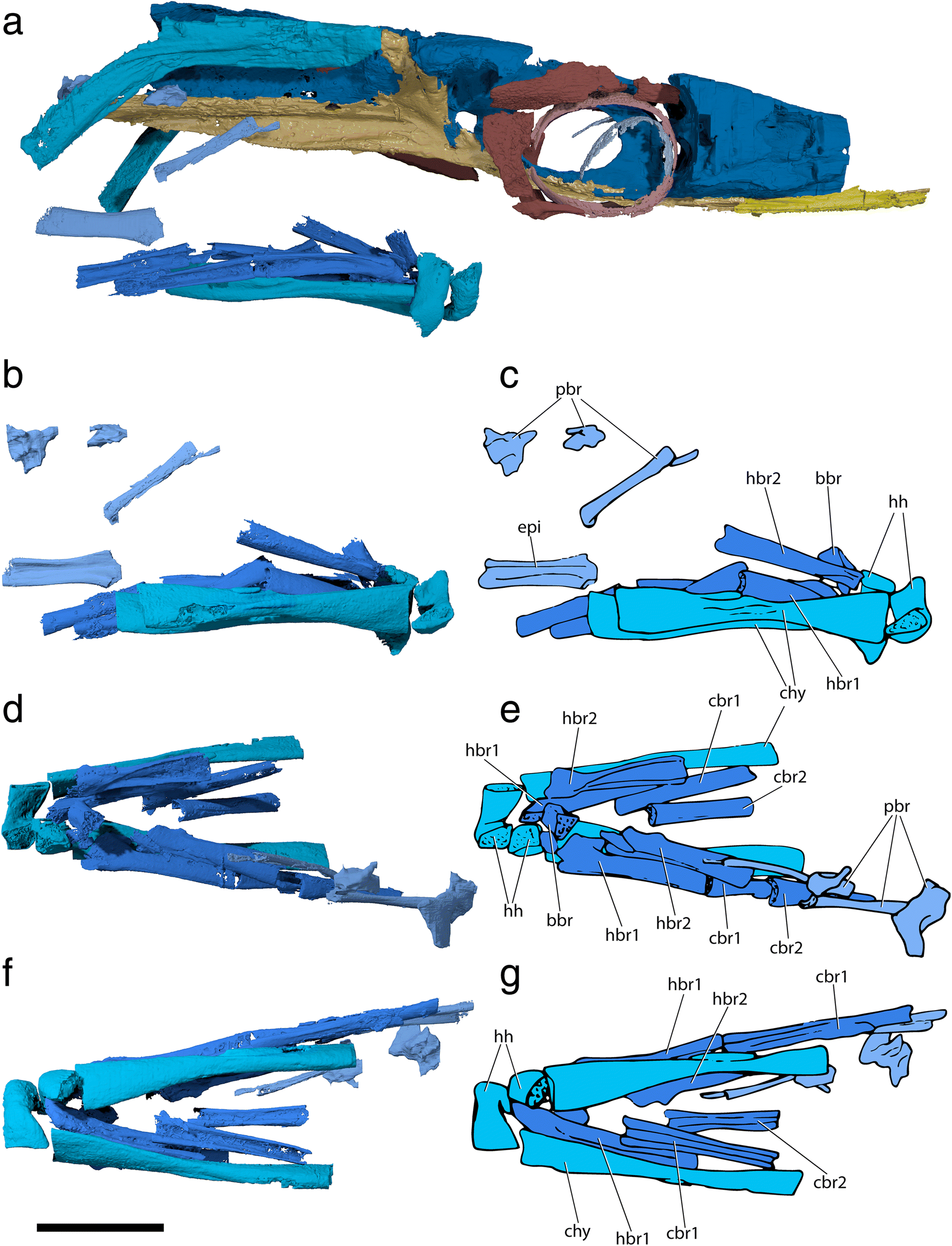 Fig. 13