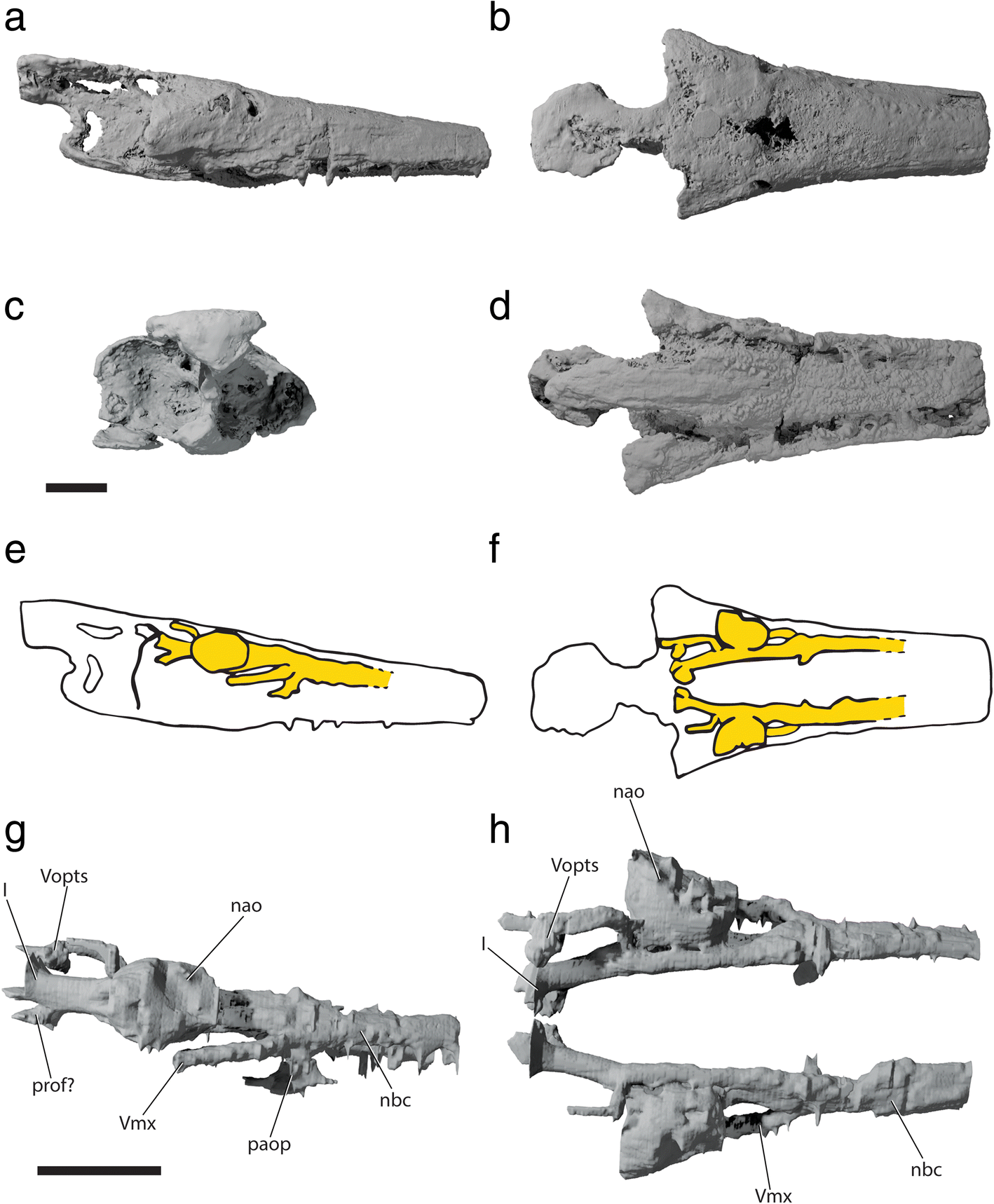 Fig. 14