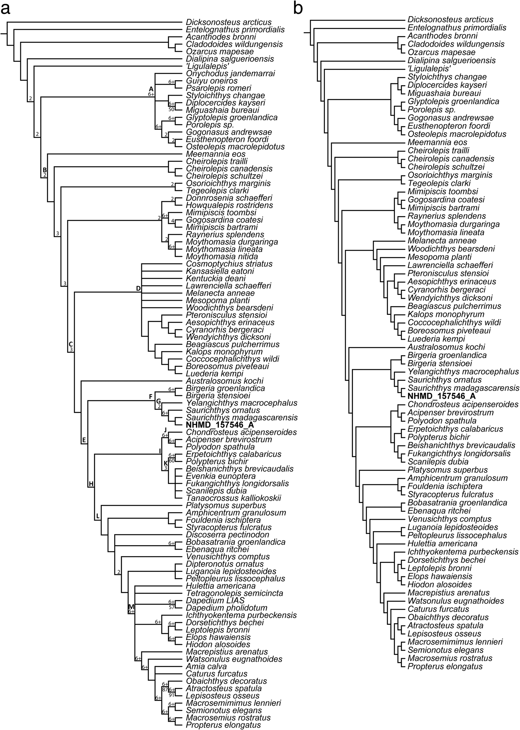 Fig. 15