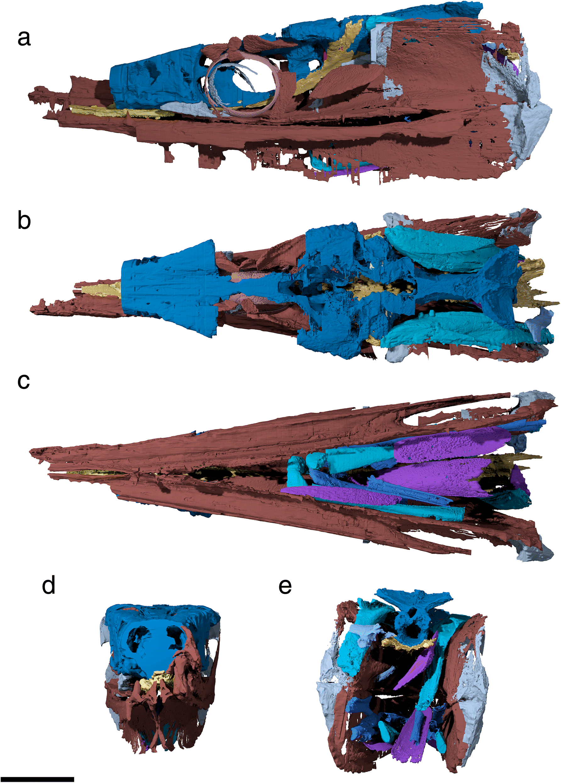 Fig. 1