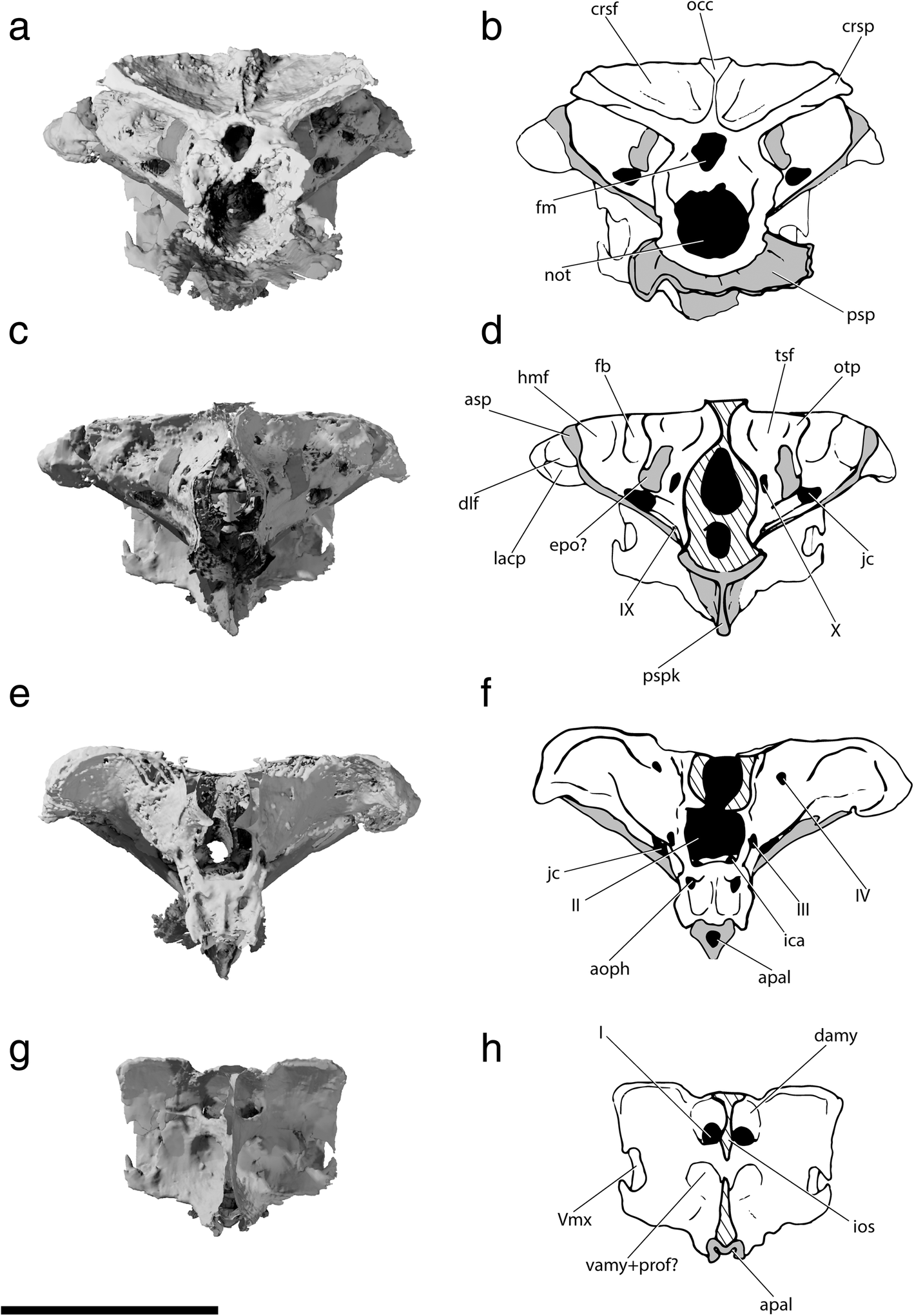 Fig. 5