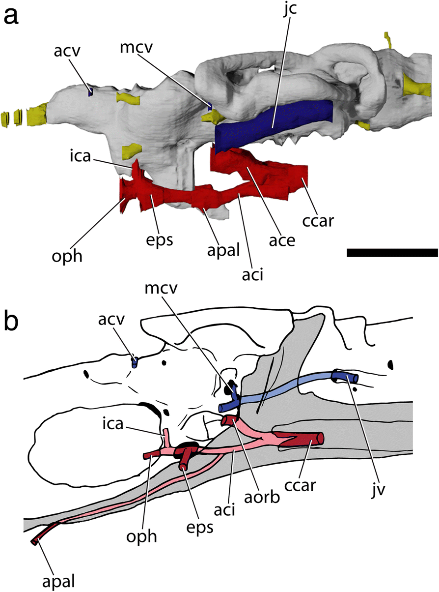 Fig. 8