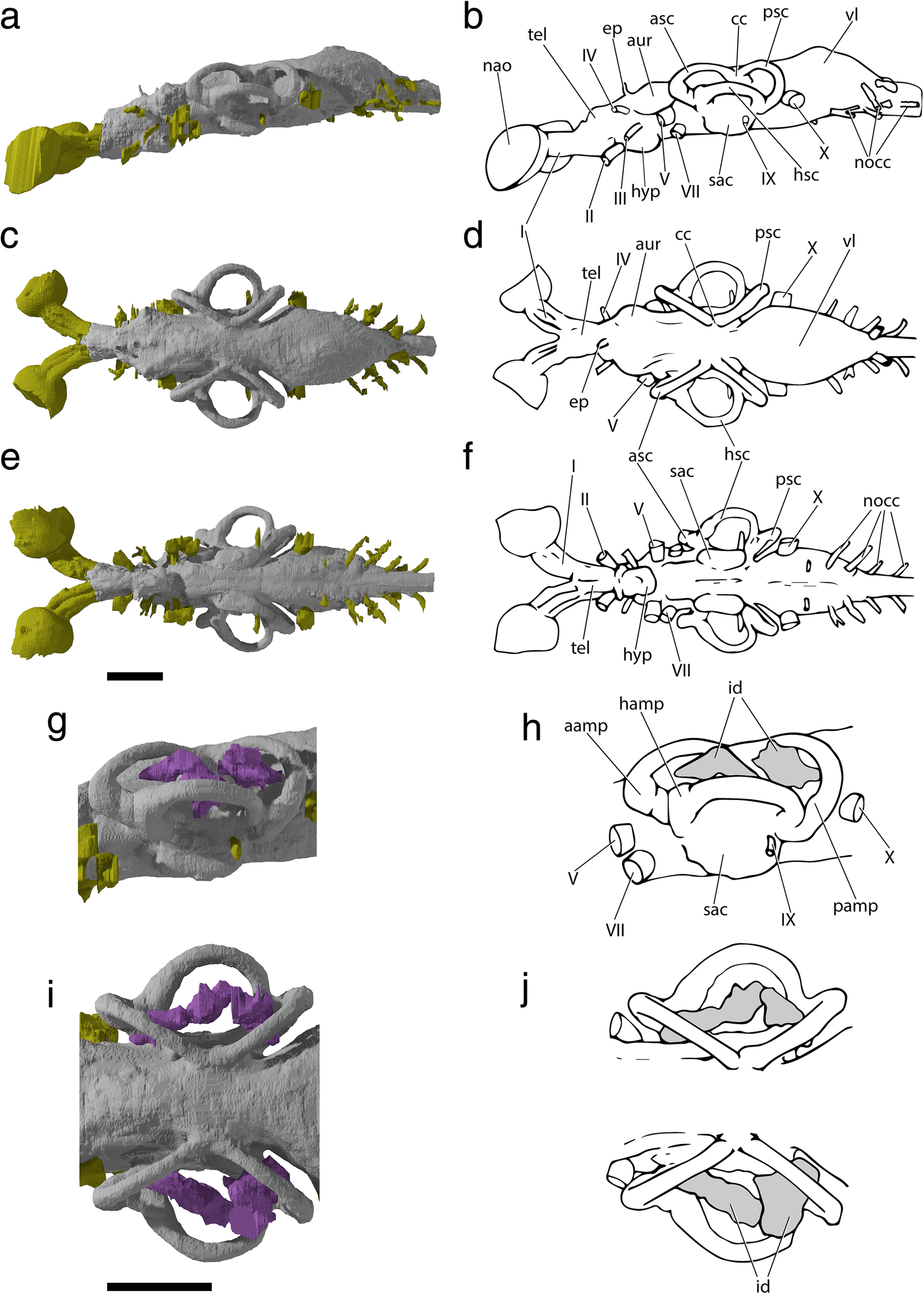 Fig. 9