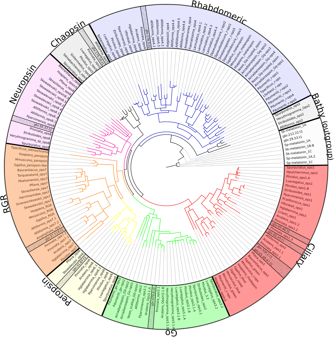 Fig. 2