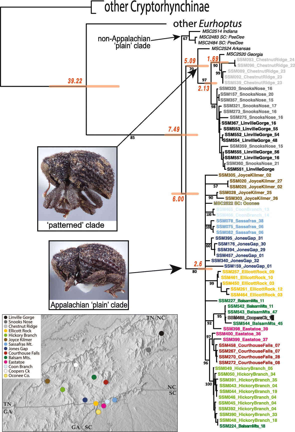 Fig. 6