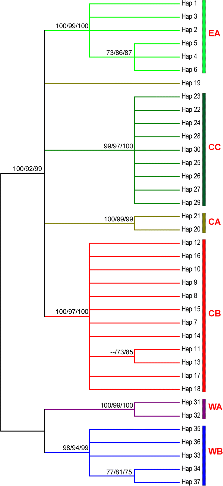 Fig. 2