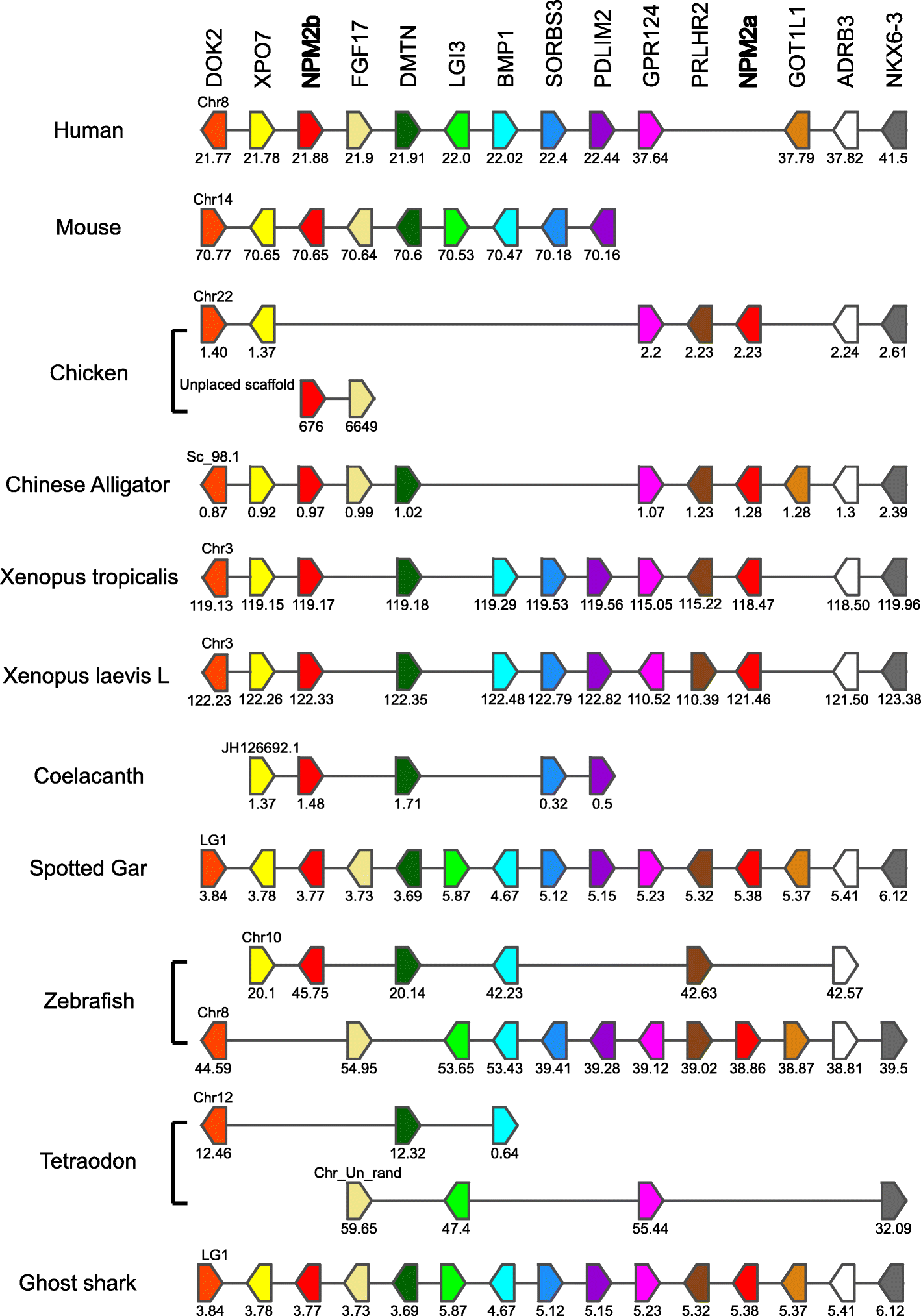 Fig. 2