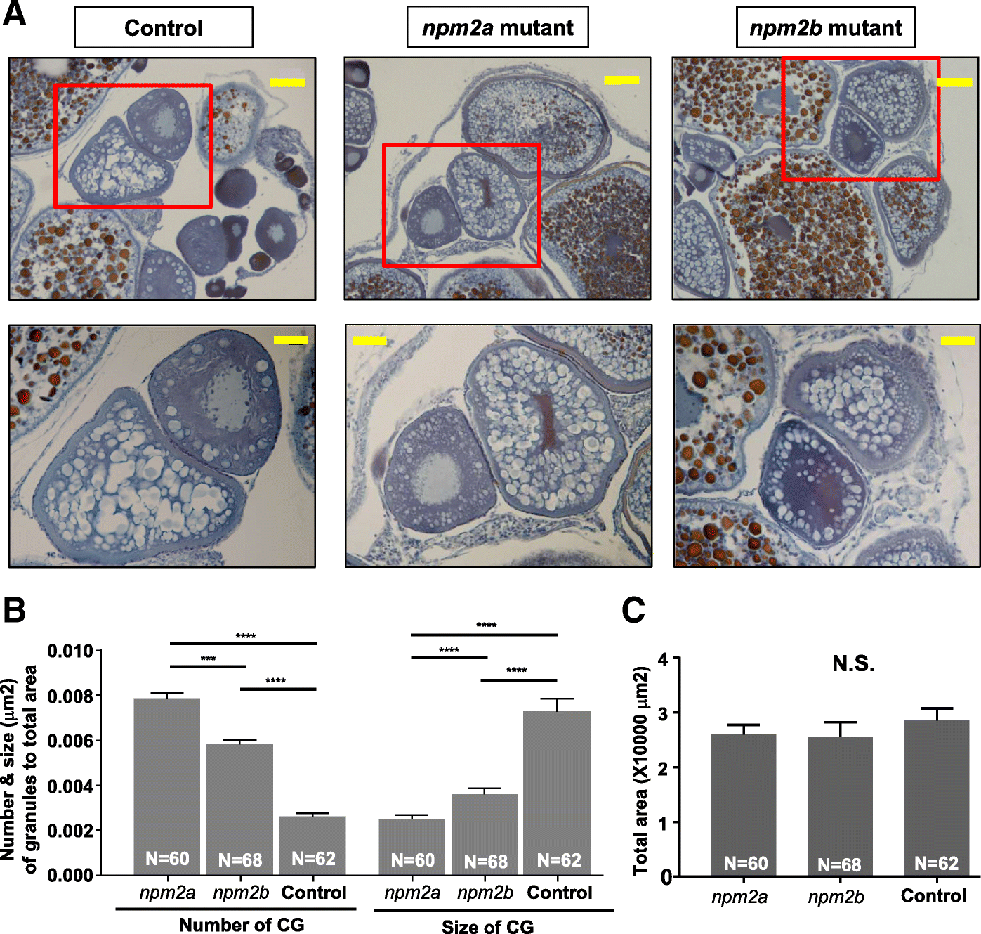 Fig. 8