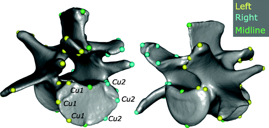 Fig. 2