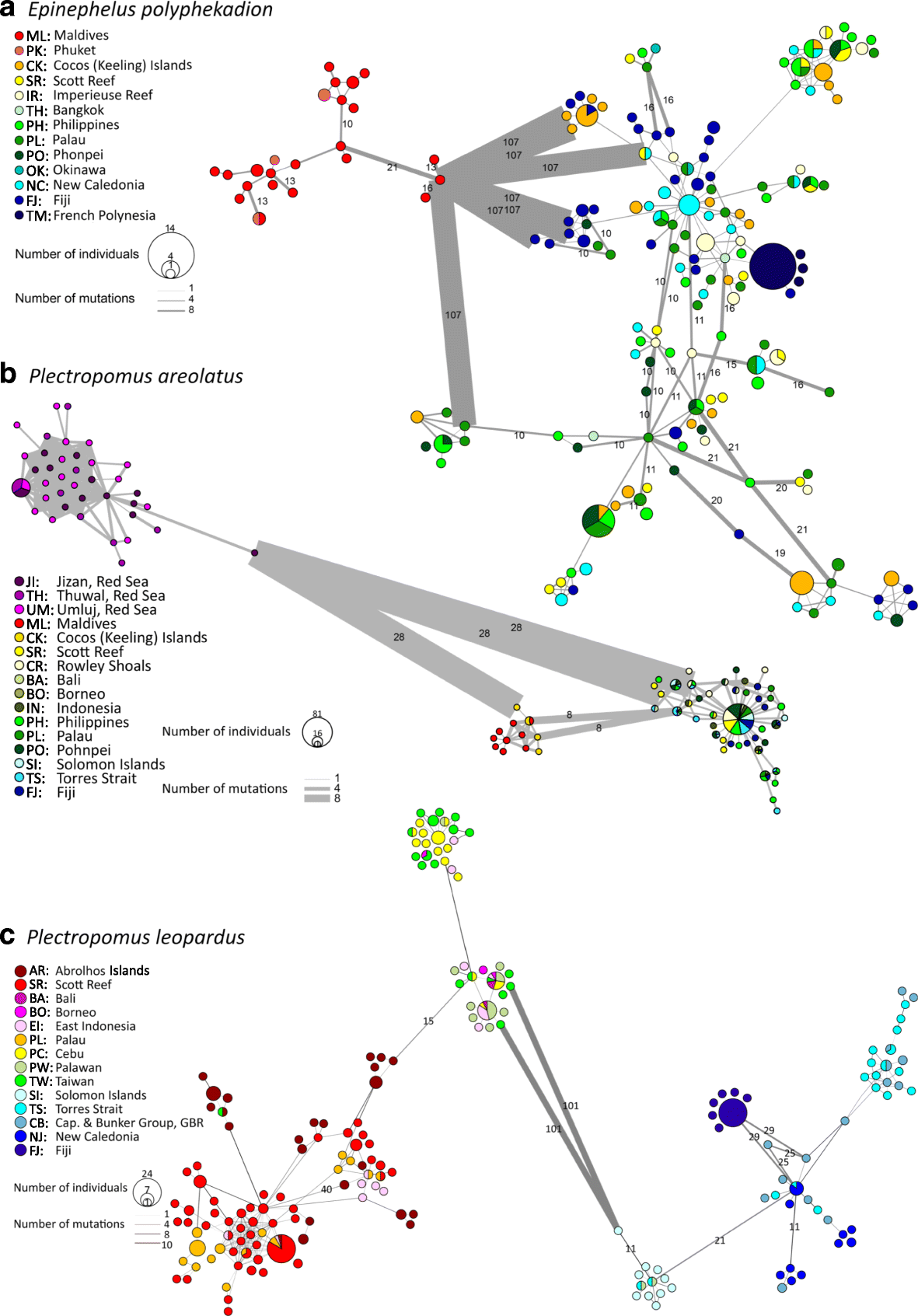 Fig. 2