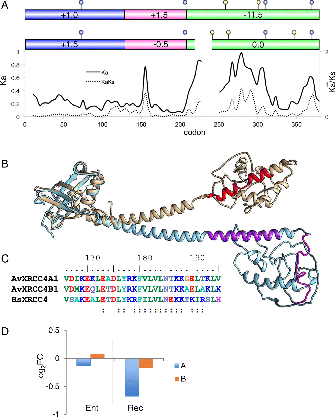 Fig. 10