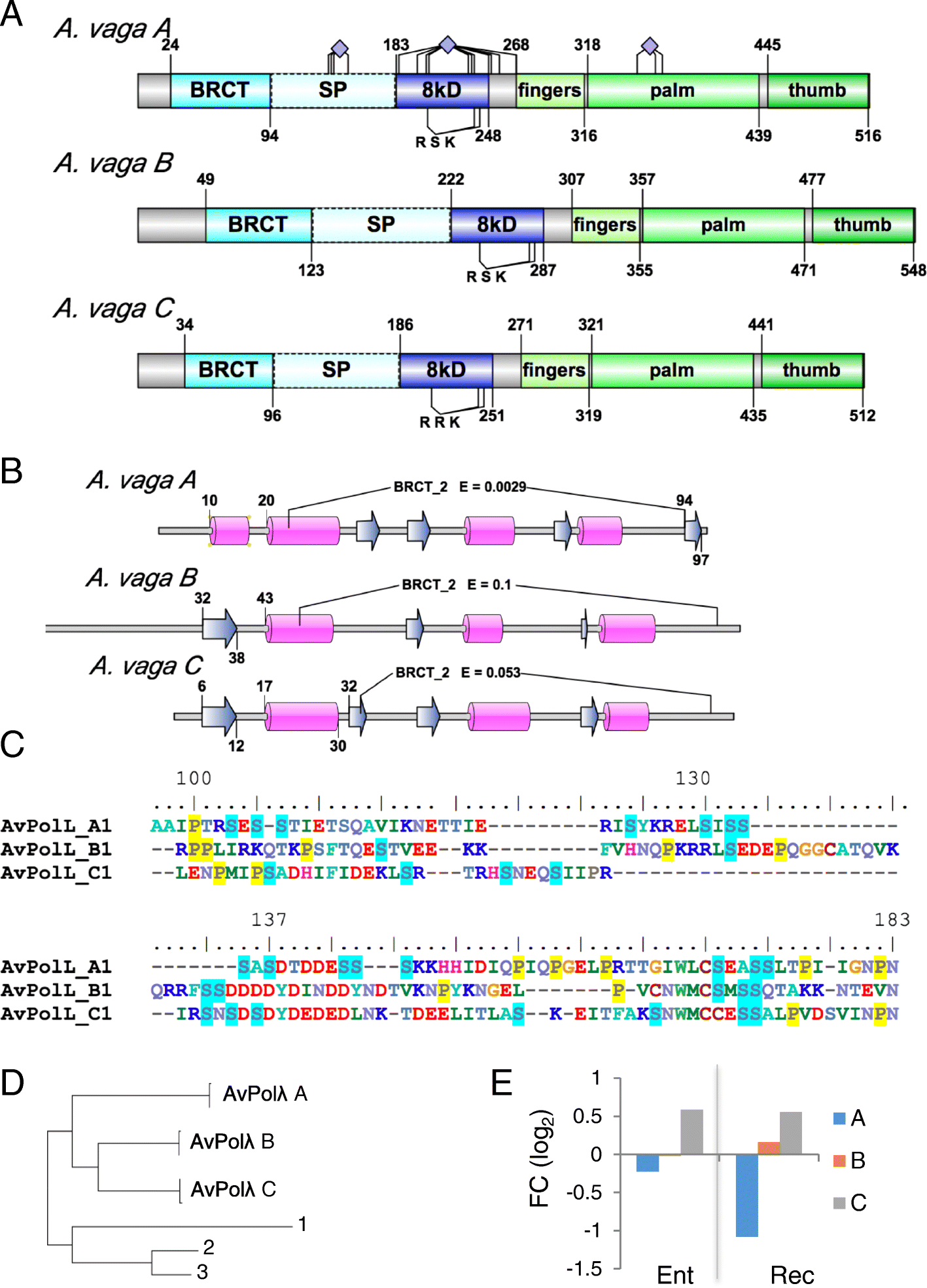 Fig. 11