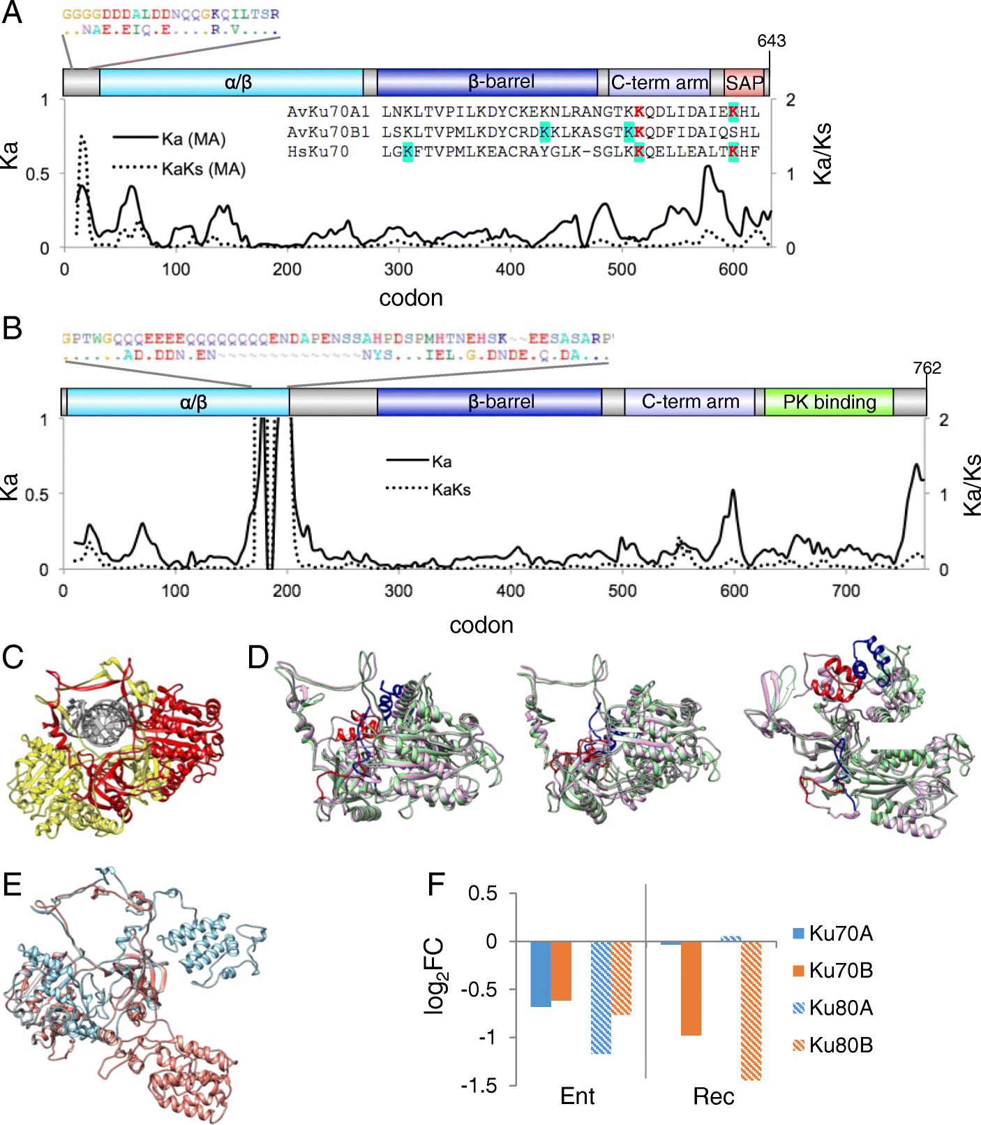 Fig. 7