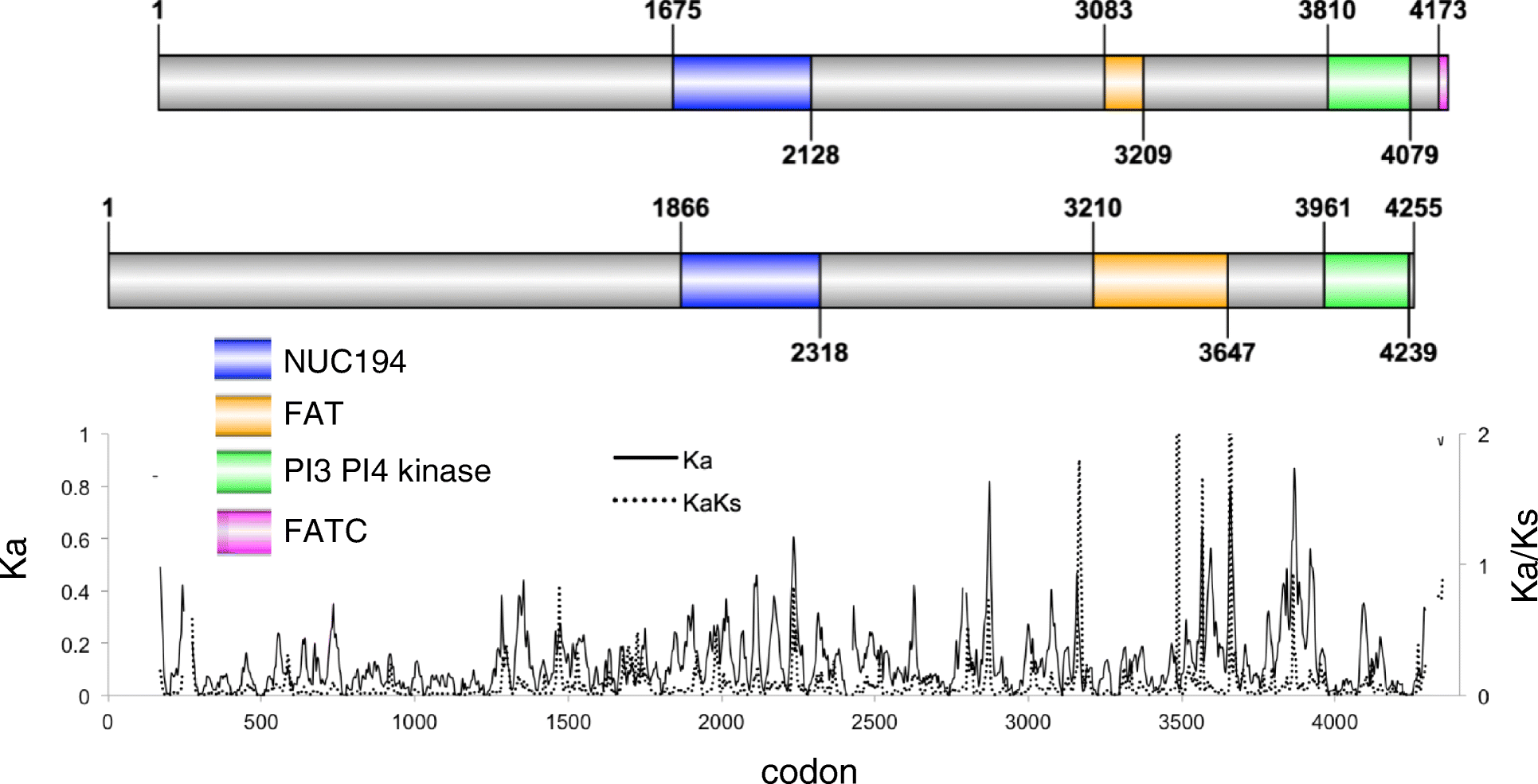 Fig. 8