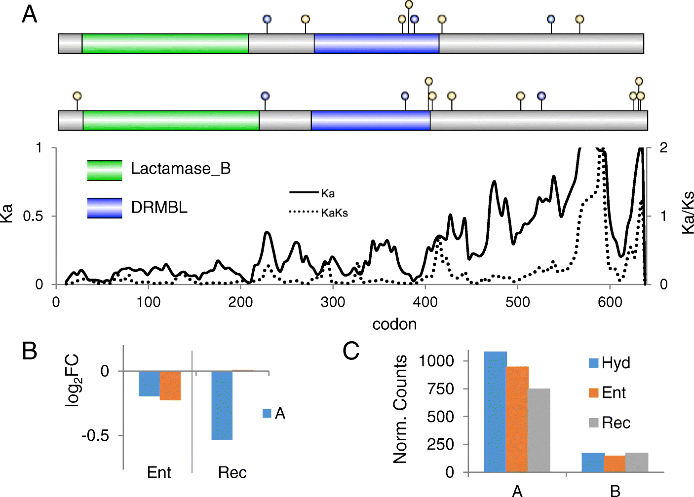 Fig. 9