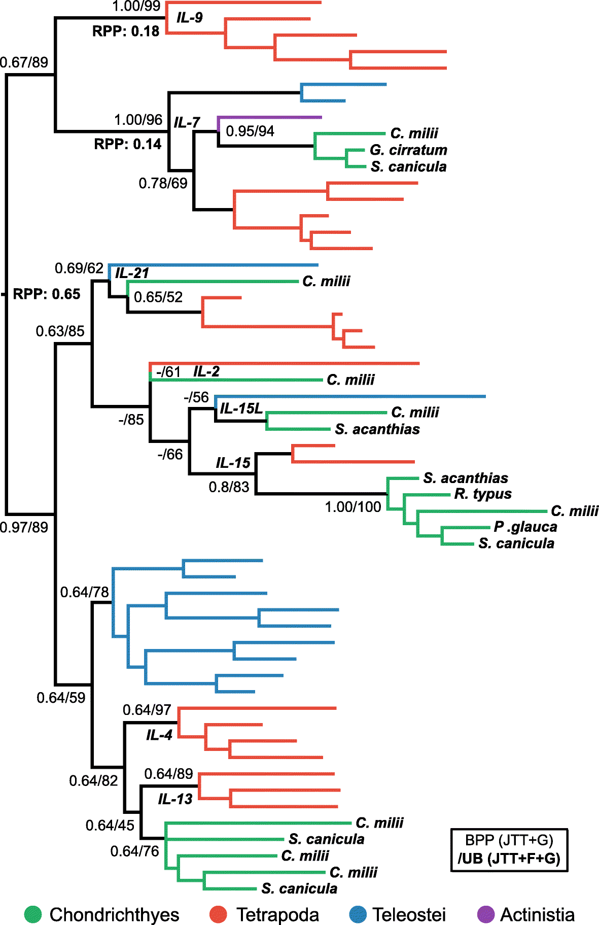 Fig. 3