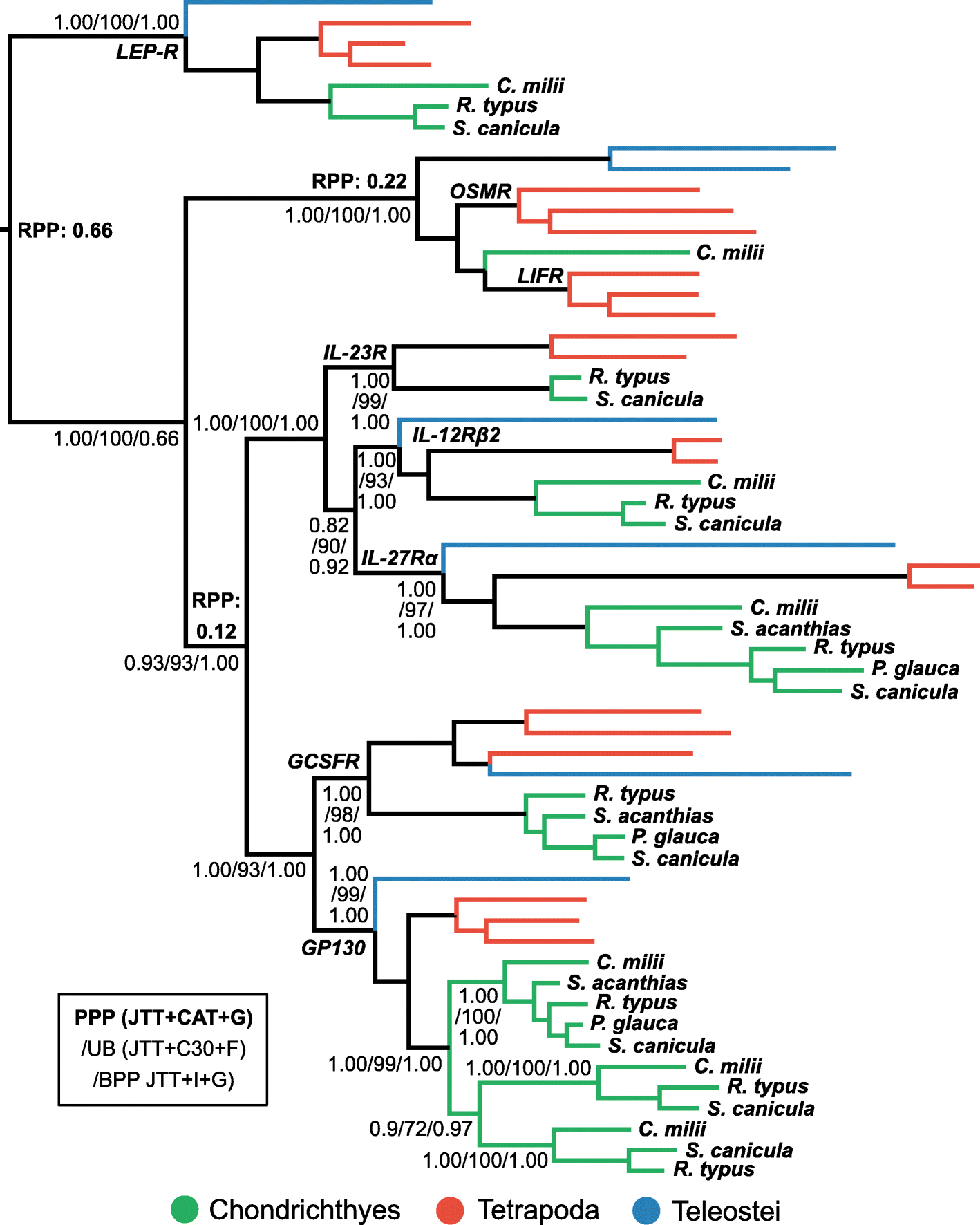 Fig. 7