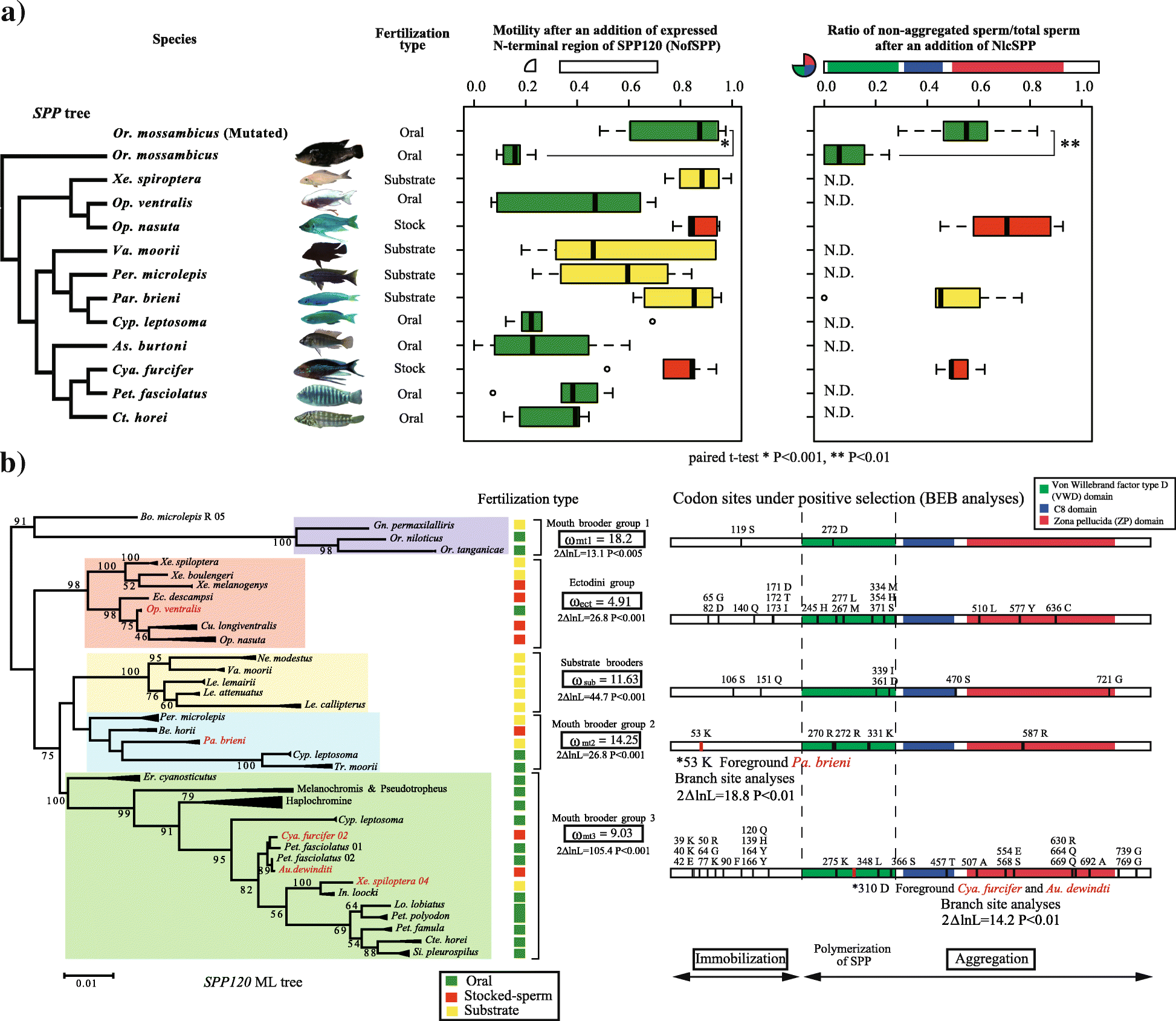 Fig. 8