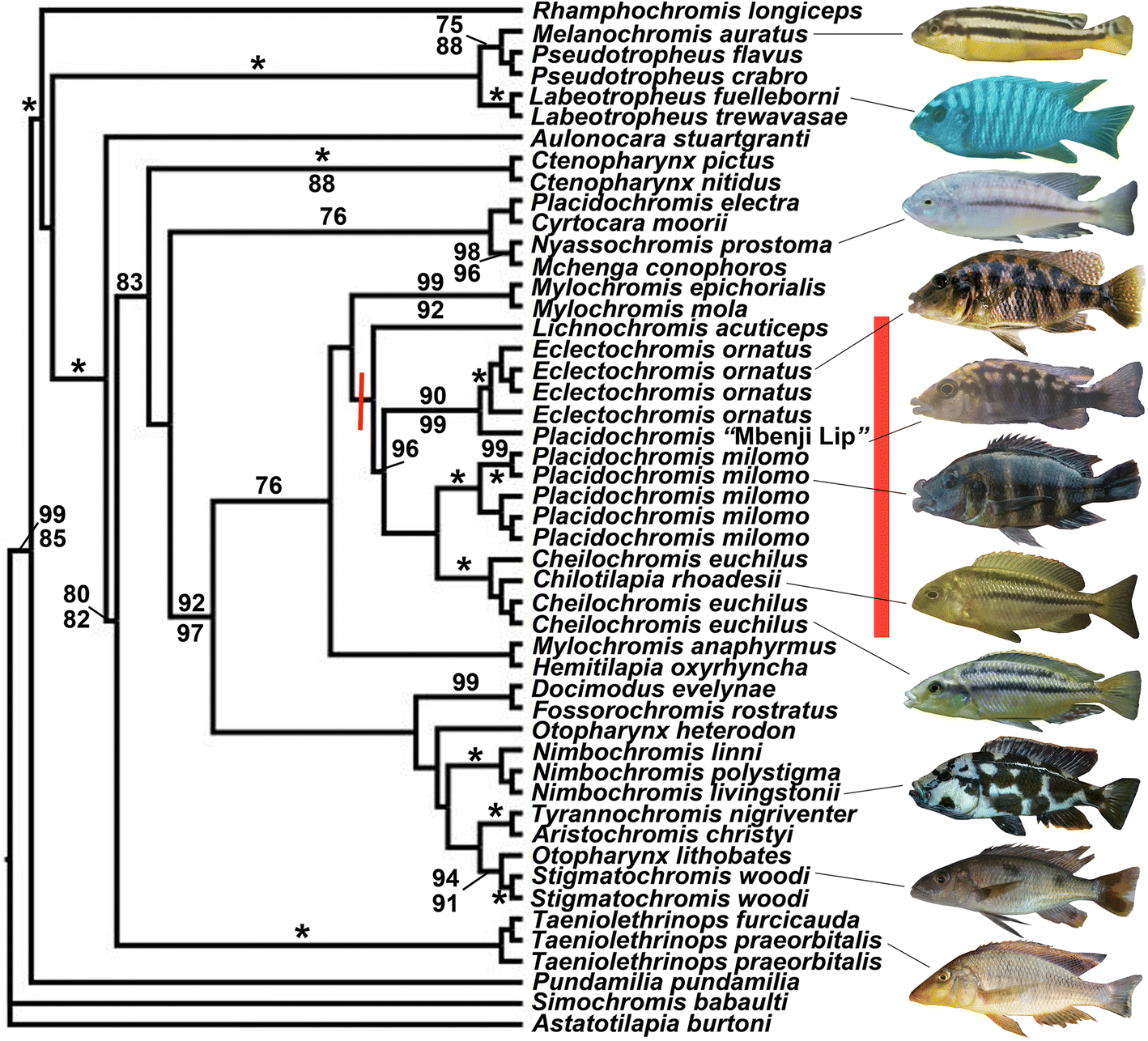 Fig. 4