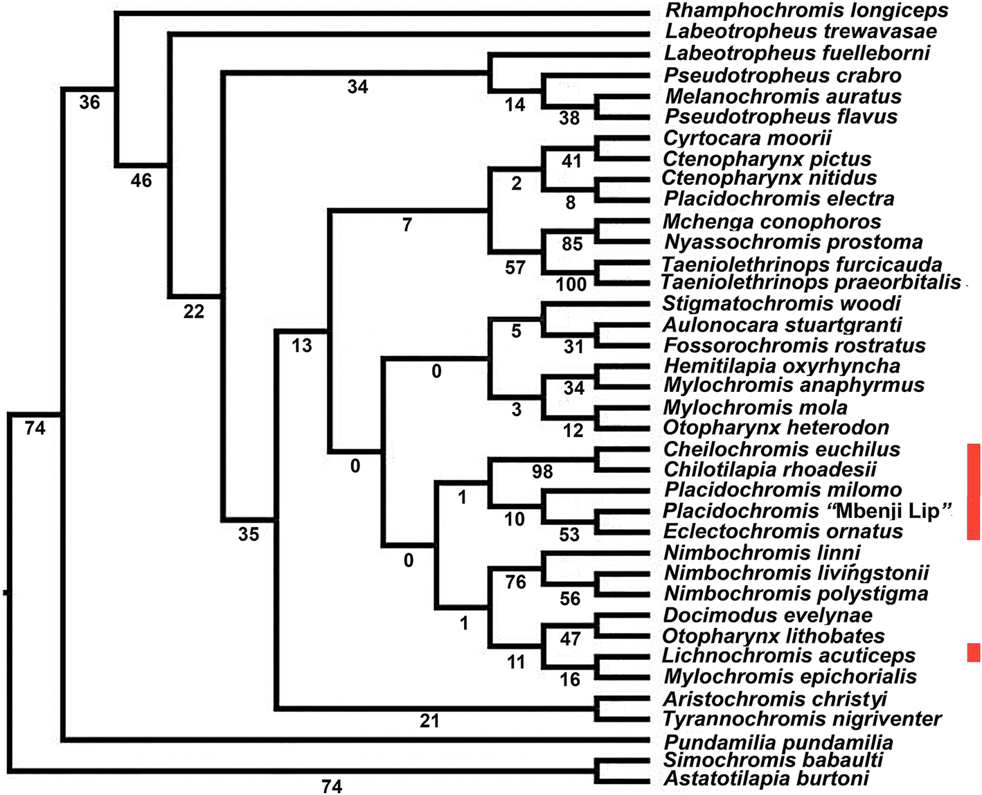 Fig. 5