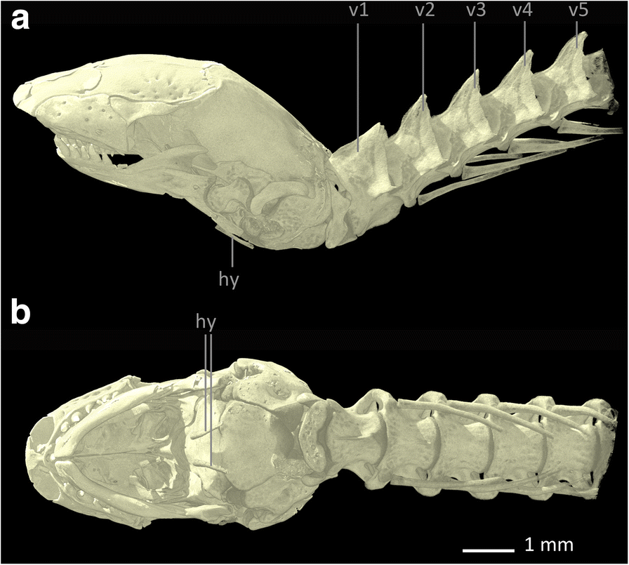 Fig. 11