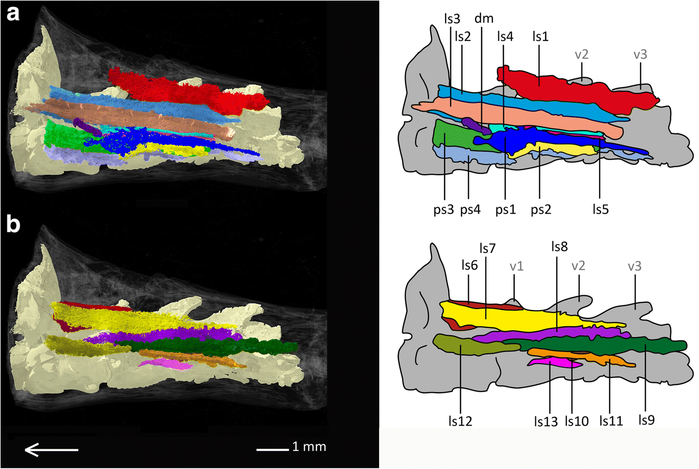 Fig. 12