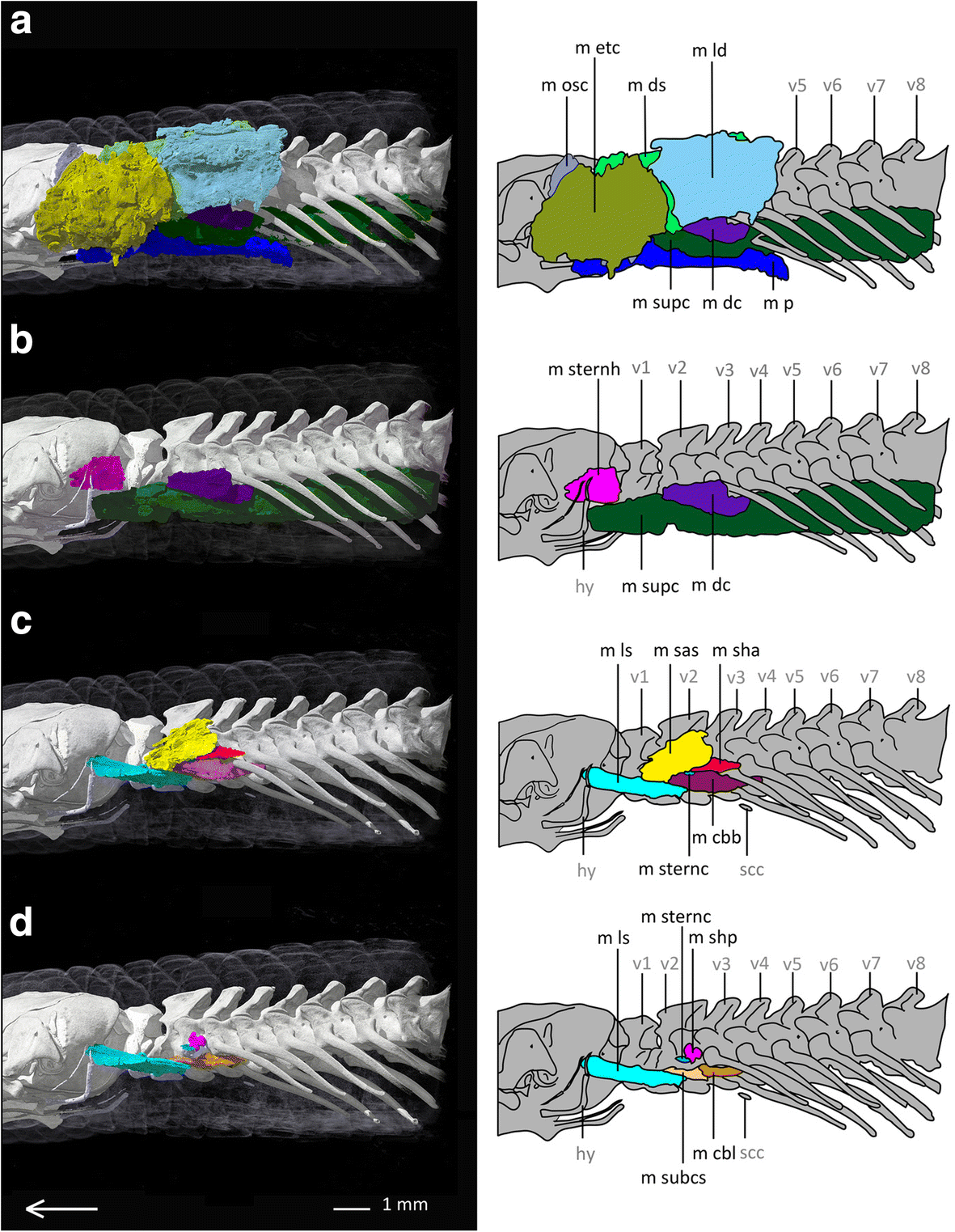 Fig. 6