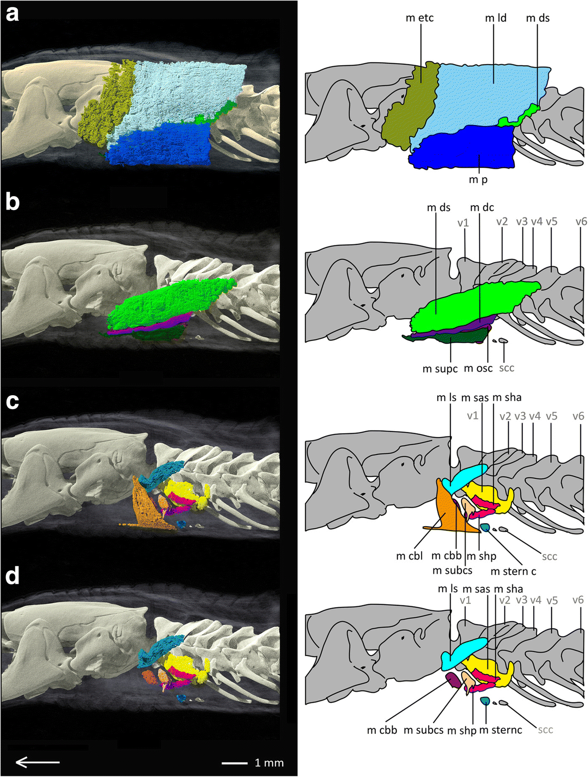 Fig. 8