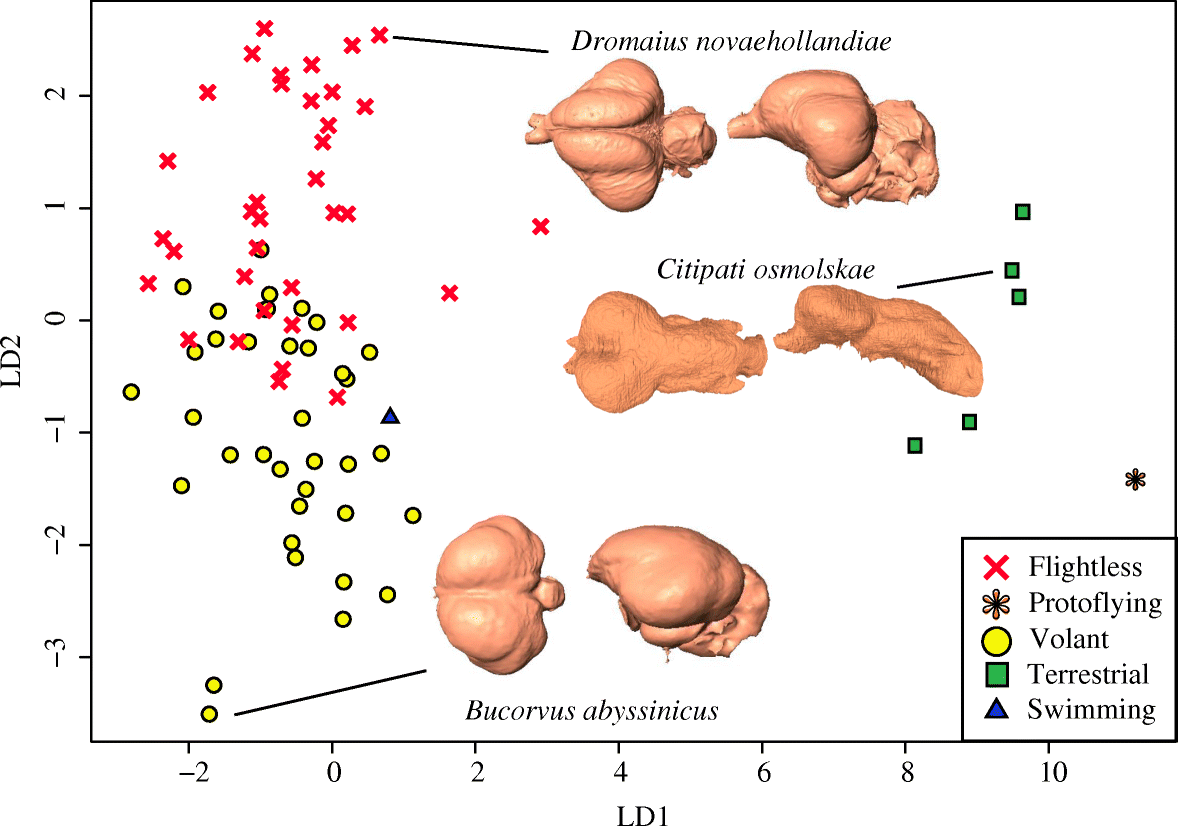 Fig. 5