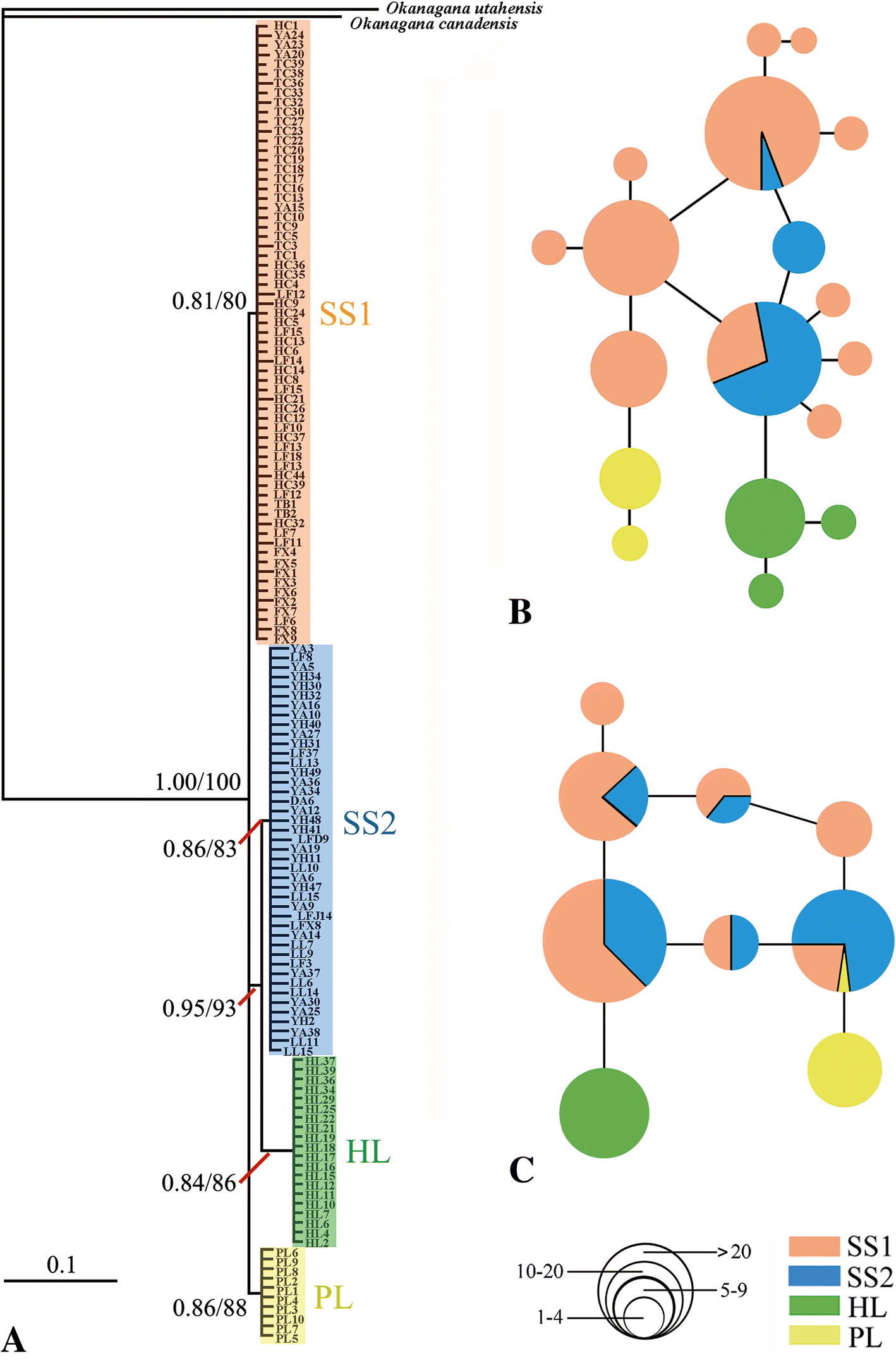 Fig. 2