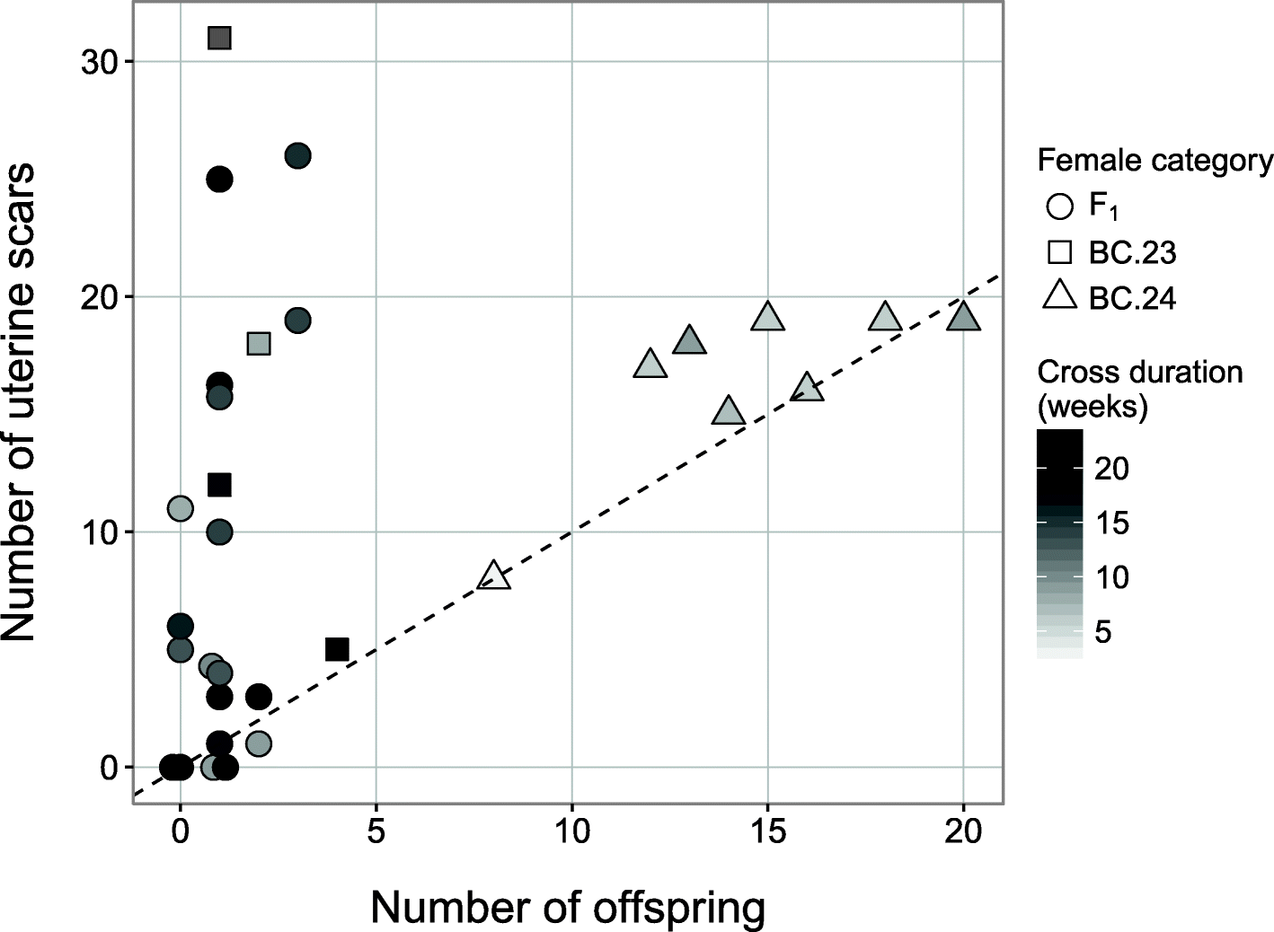 Fig. 8