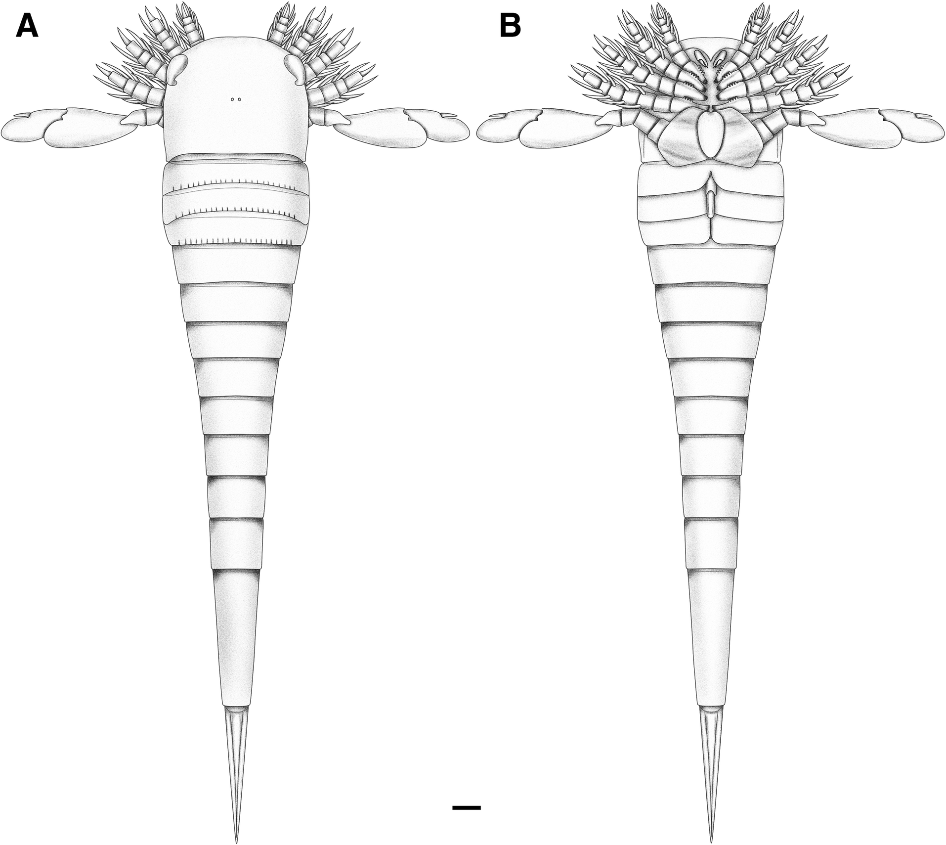 Fig. 13