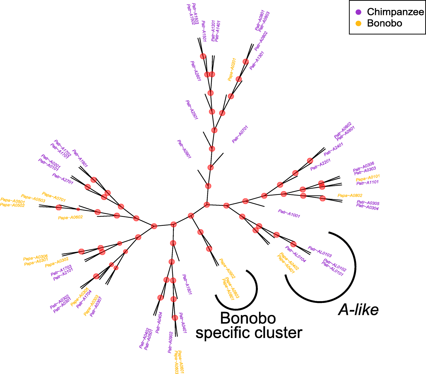 Fig. 5