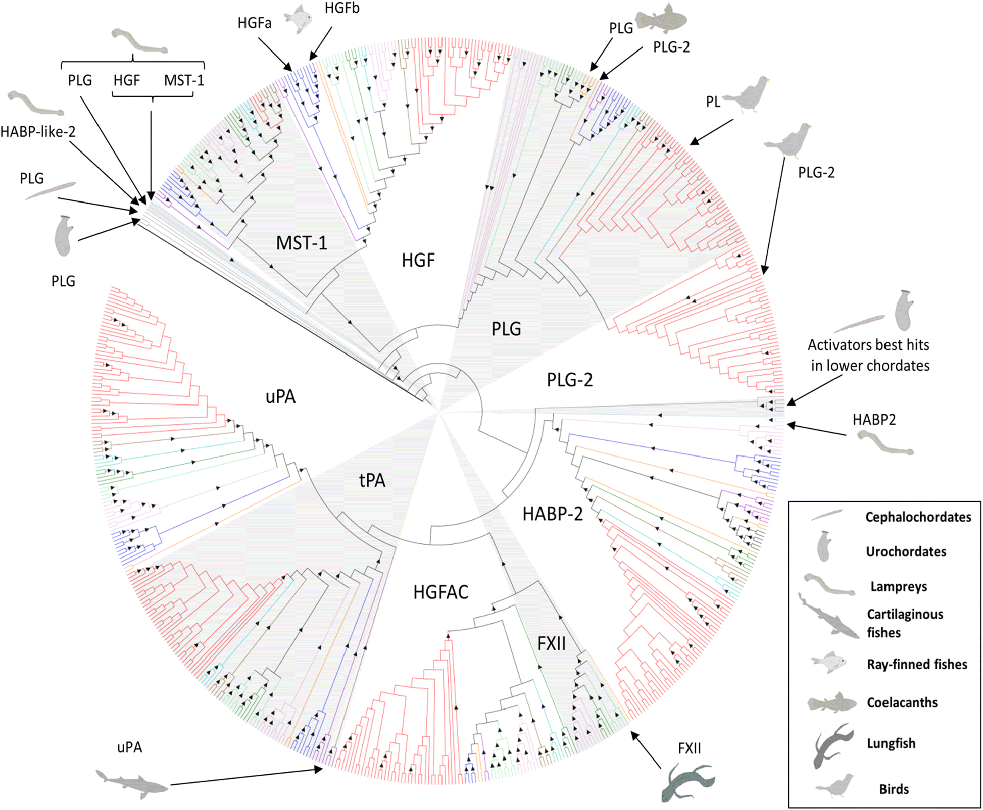 Fig. 4