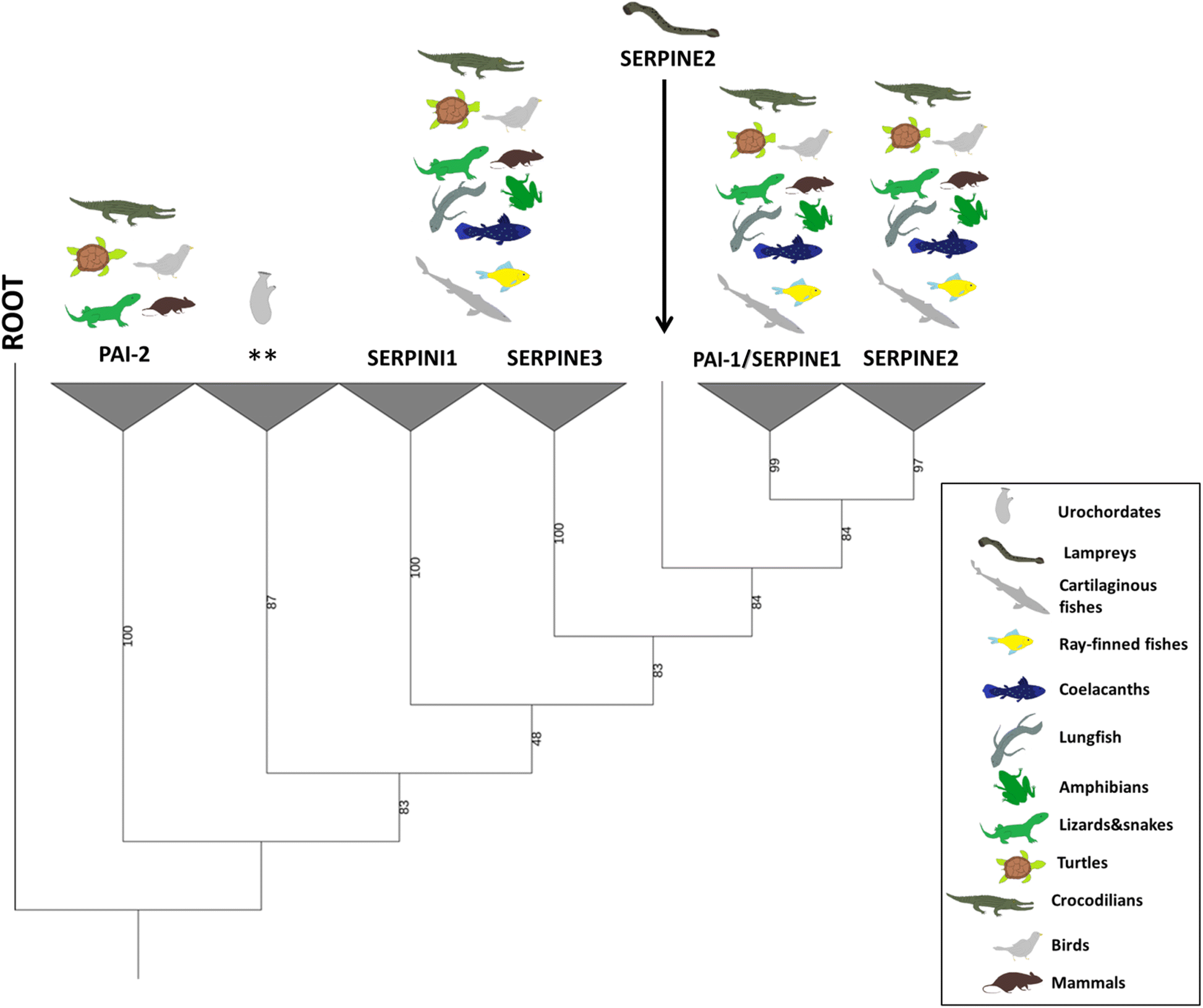 Fig. 6