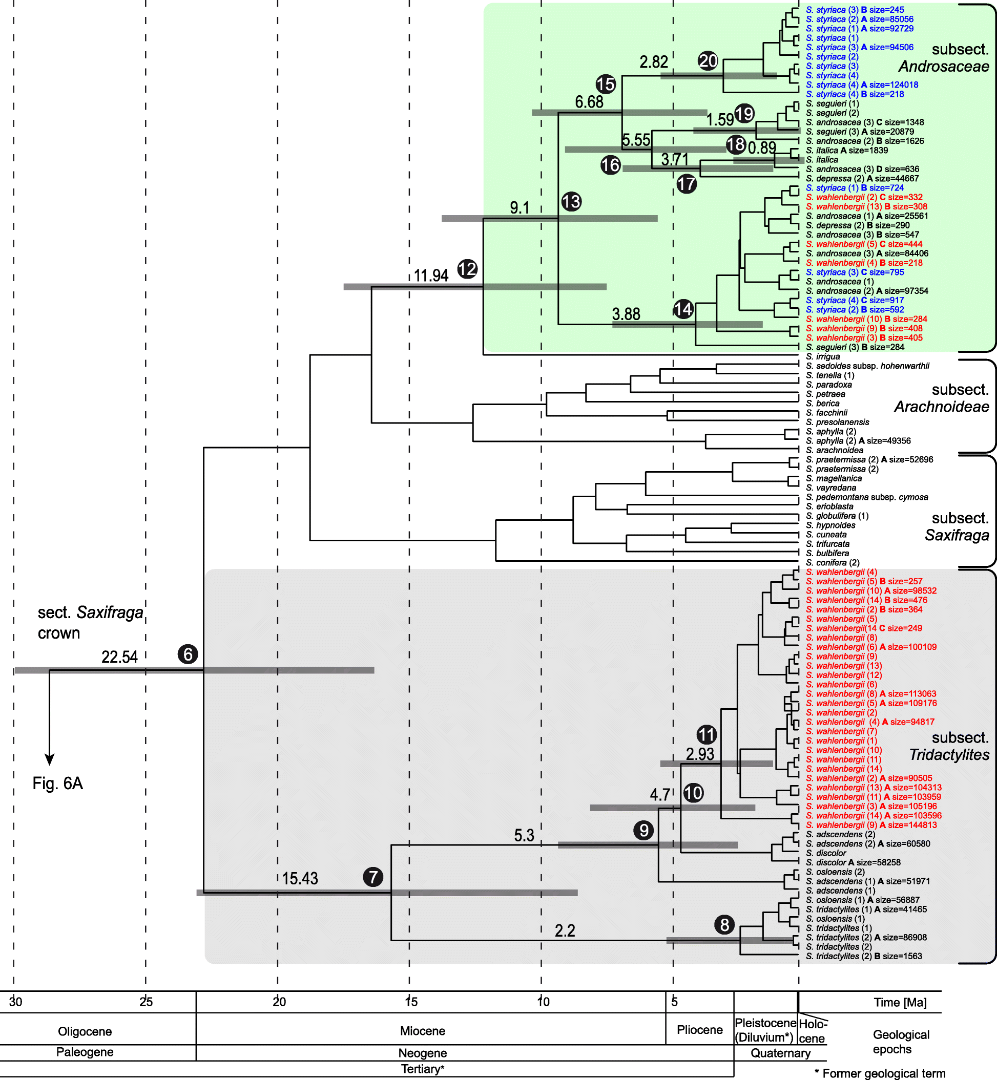 Fig. 6