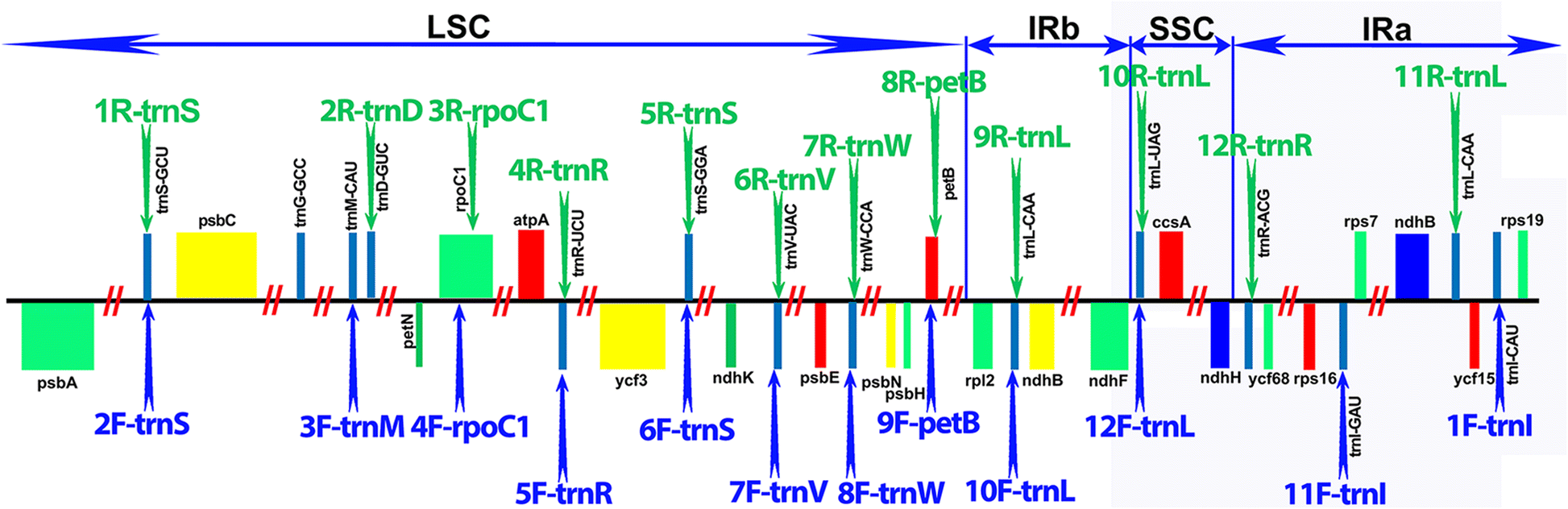 Fig. 1