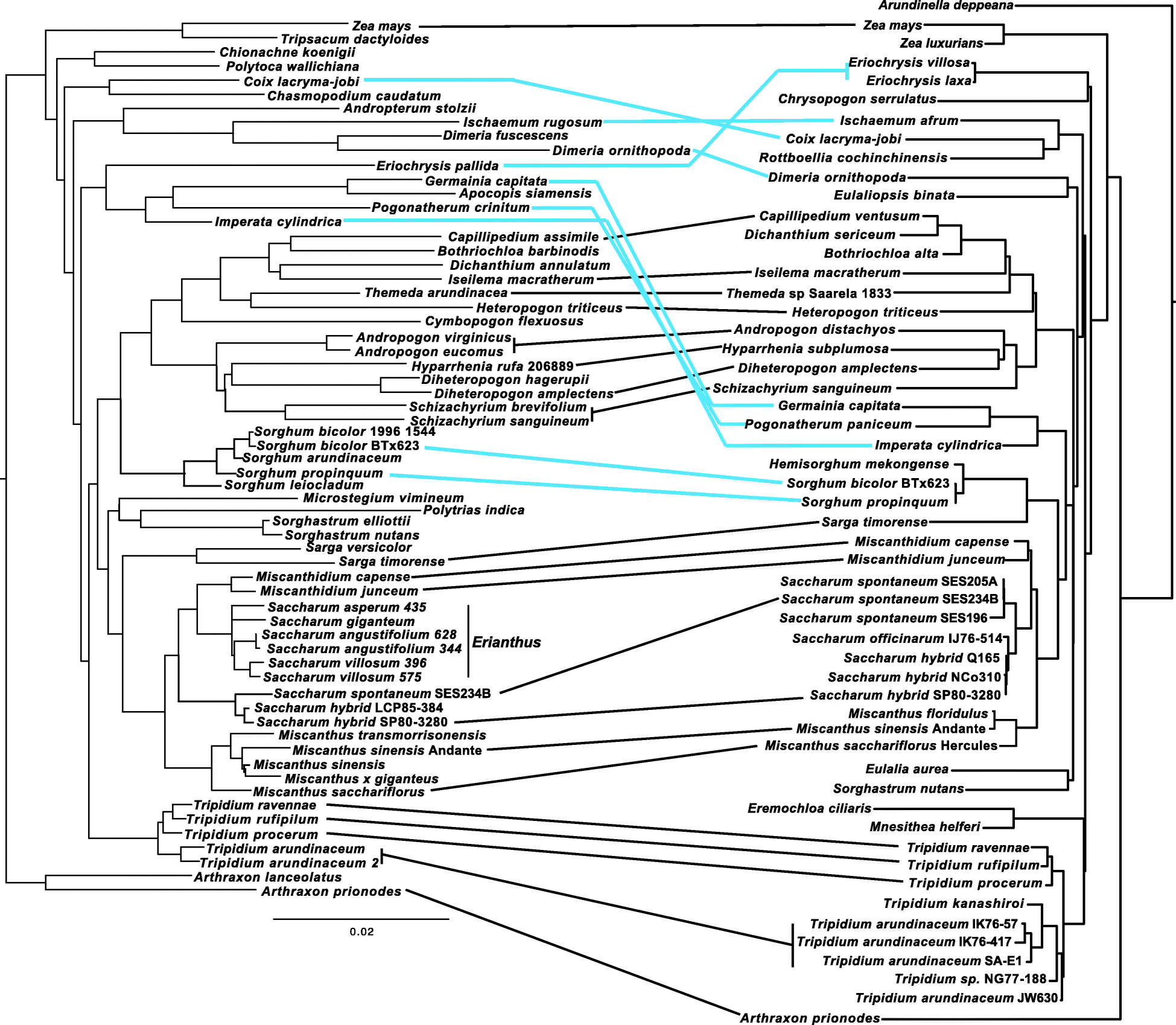 Fig. 5